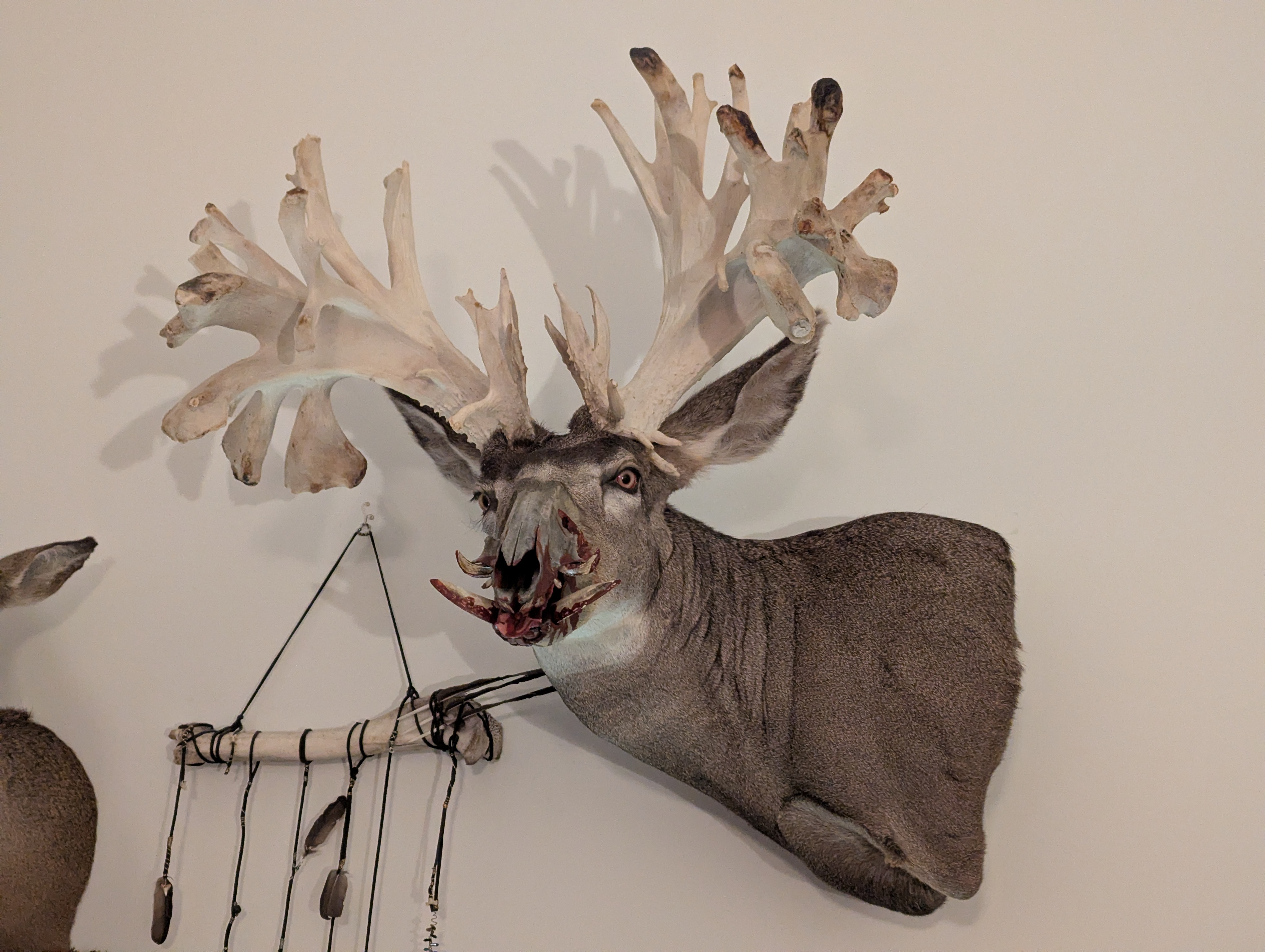 user avatar image for Justin