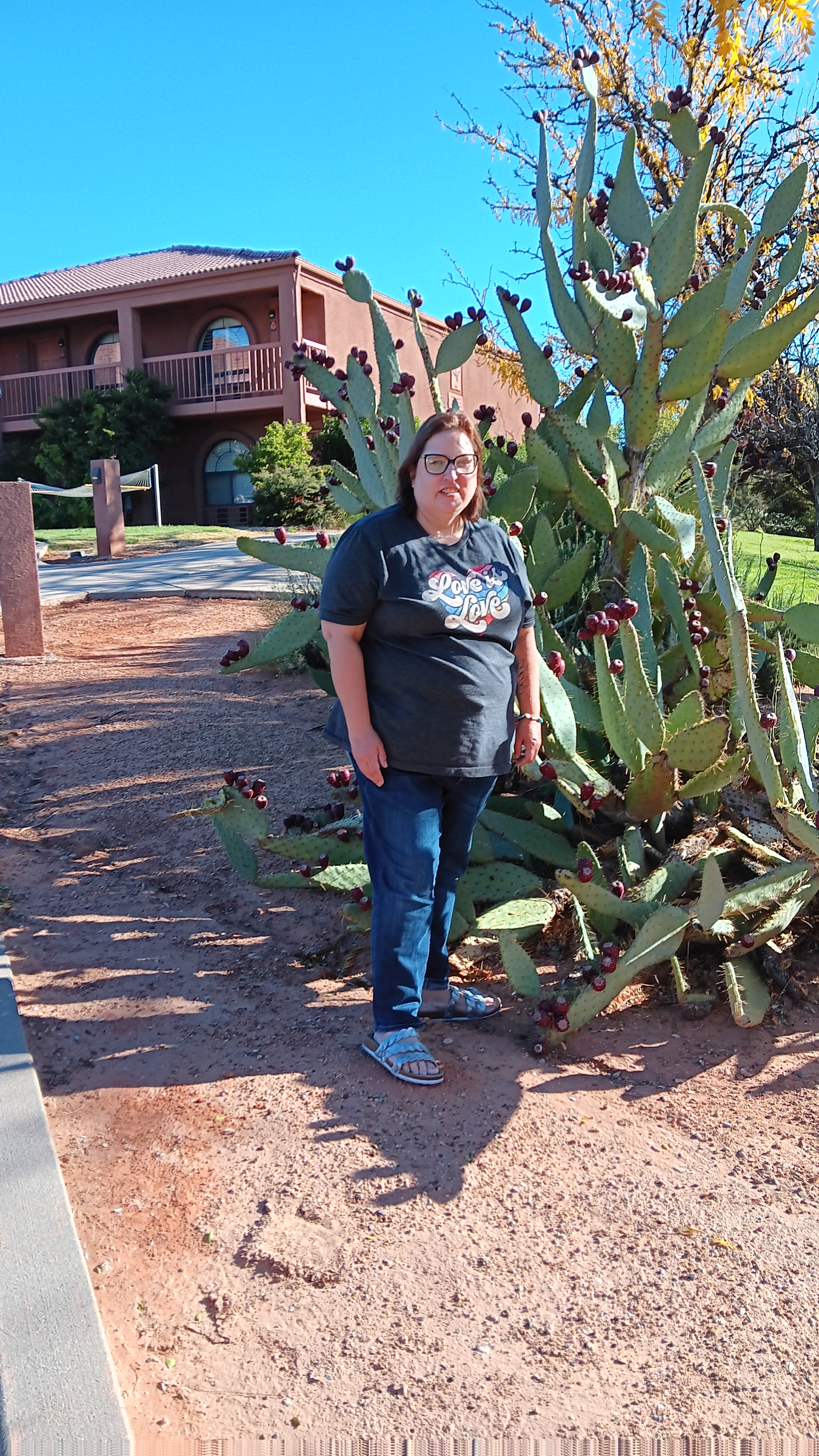 user avatar image for Cindy Bohn