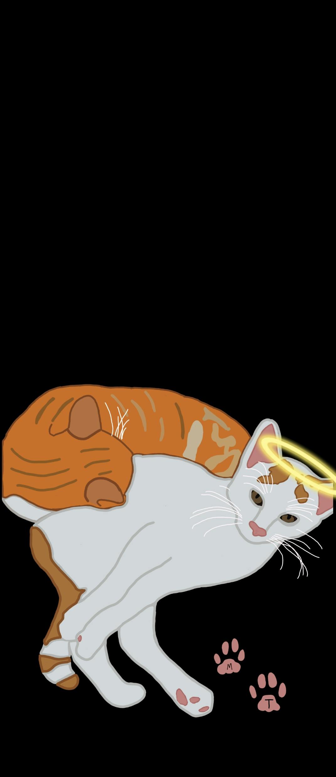 user avatar image for Kaitlin