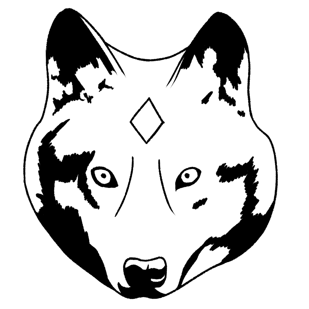 The Volva - Viking Witches