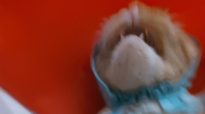 user avatar image for ChawnkyBro