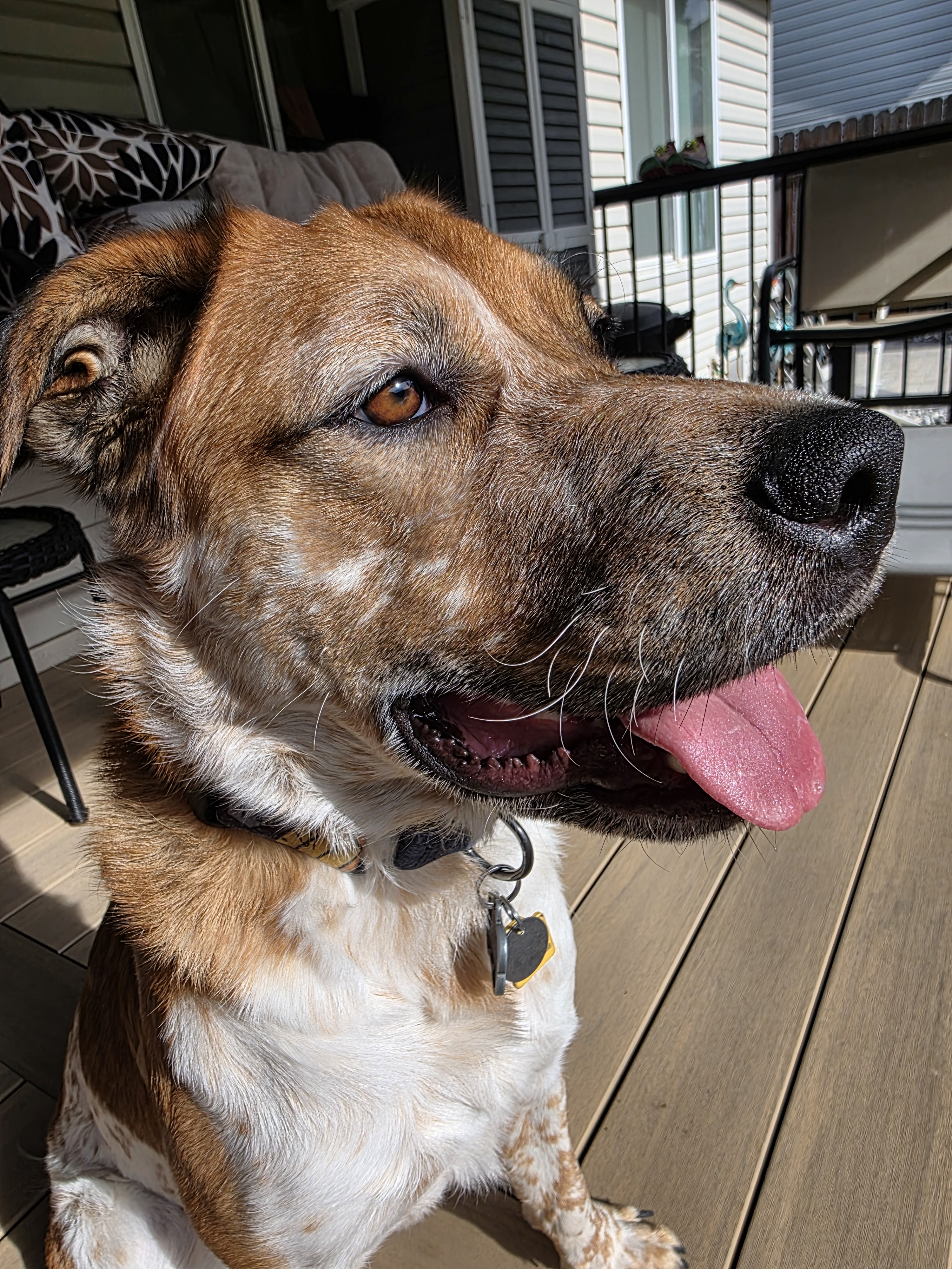 user avatar image for delaniej