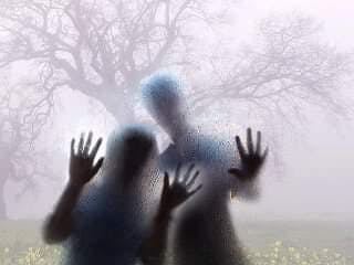 user avatar image for Sadidas