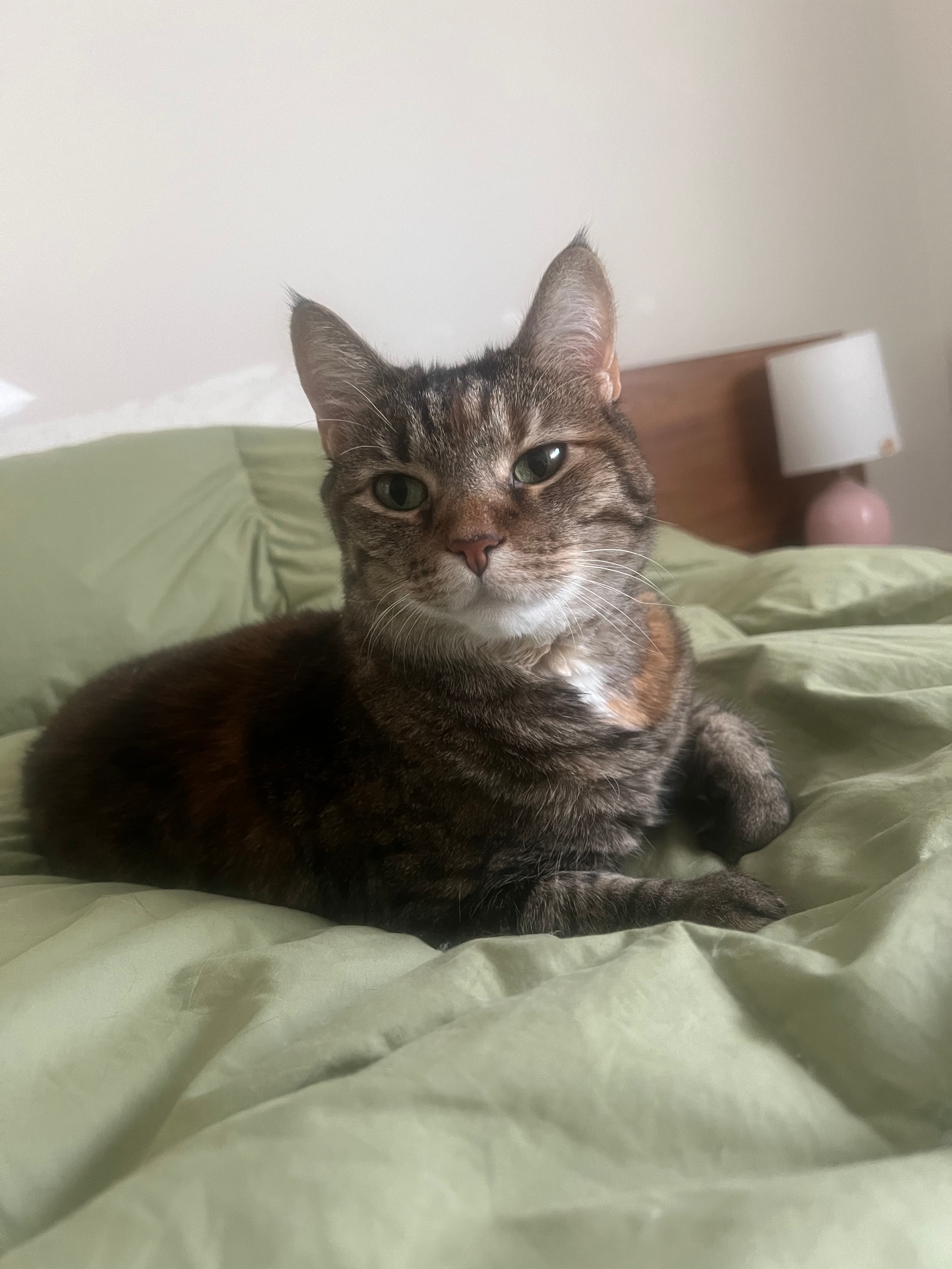 user avatar image for Corinne Maloof