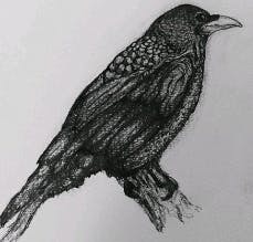 user avatar image for Peg Robertson 