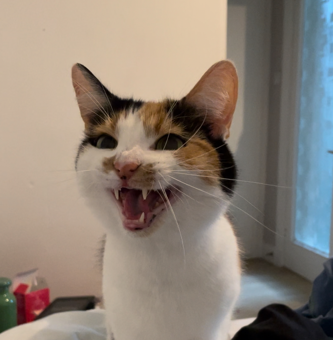 user avatar image for Evelyn Hewett