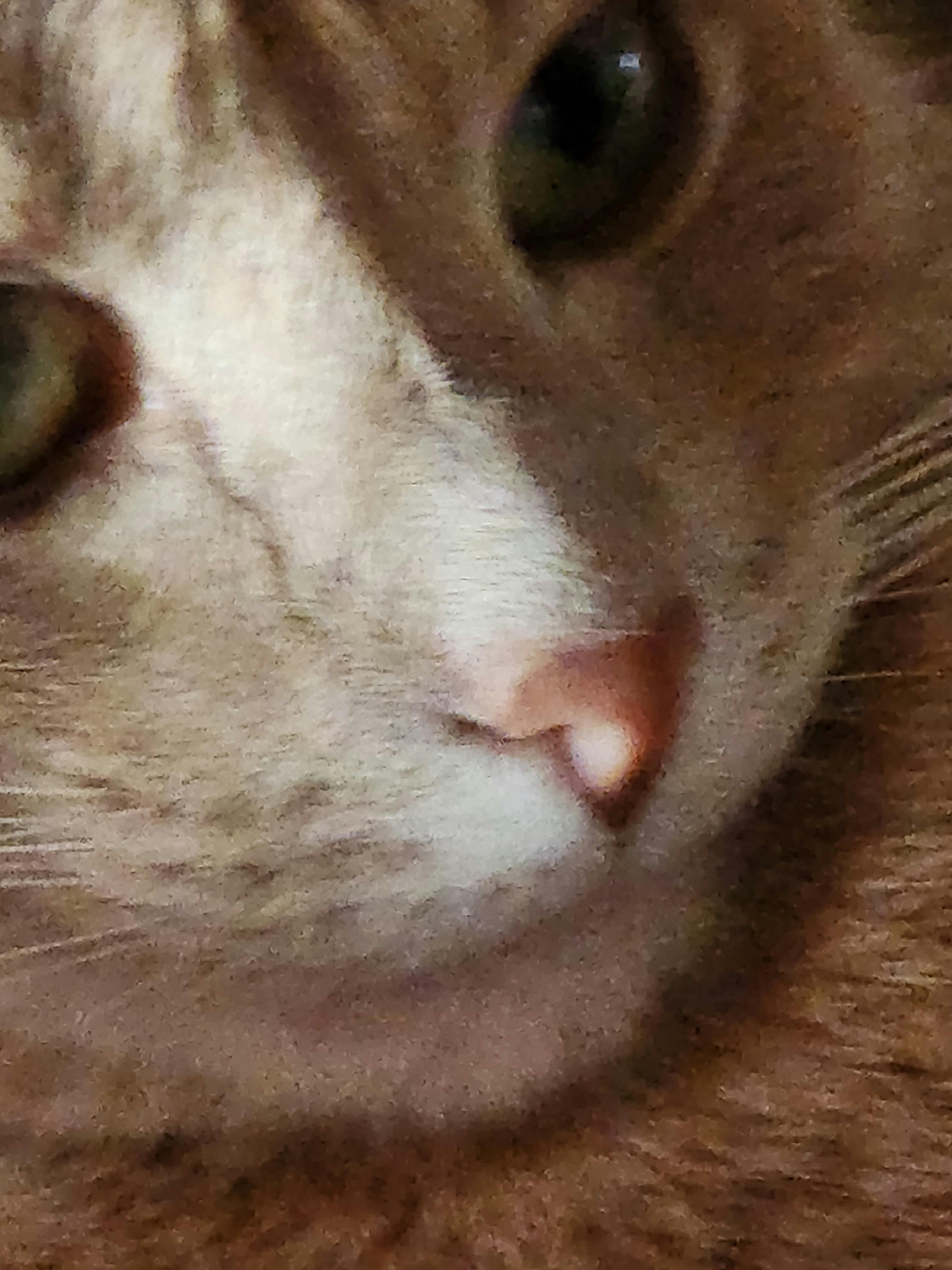 user avatar image for Diego