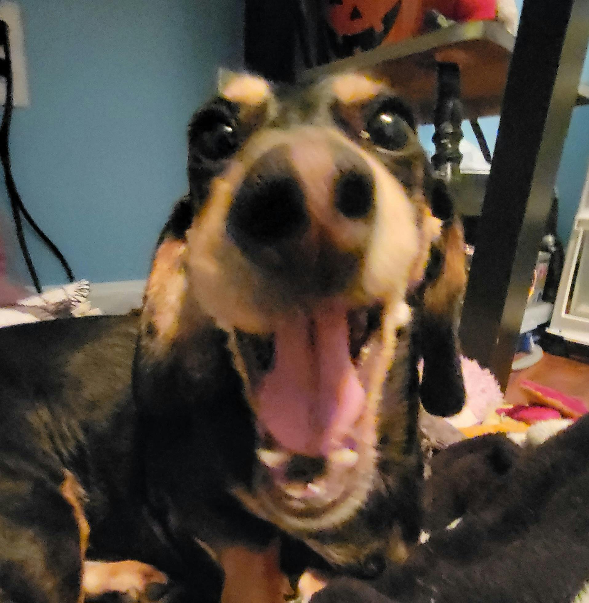 user avatar image for Gianna 