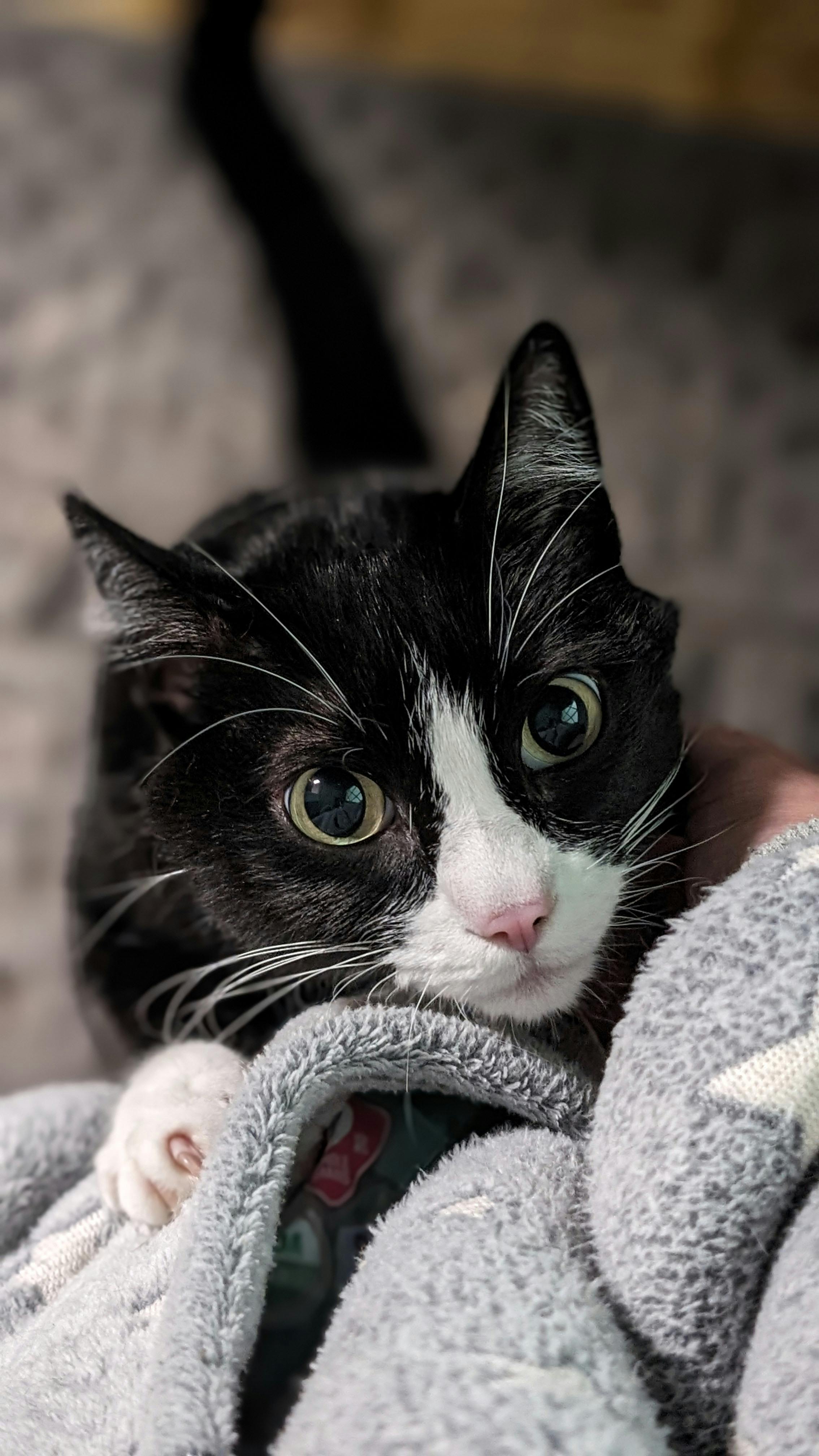 user avatar image for Lithia