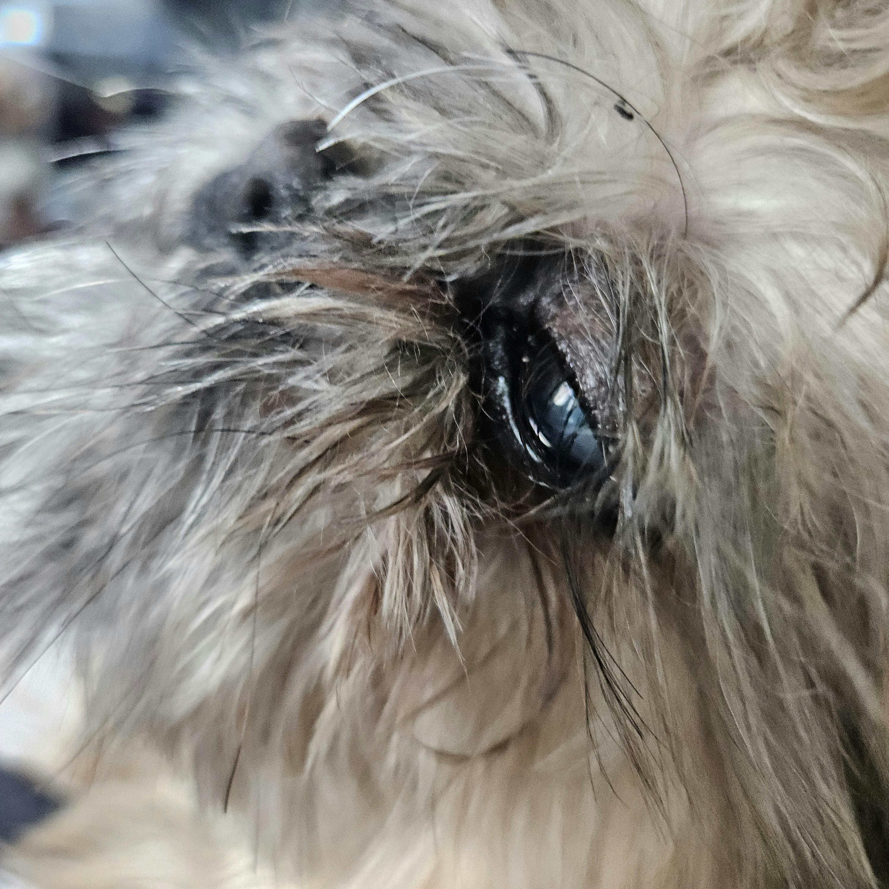 user avatar image for MissyBThyName