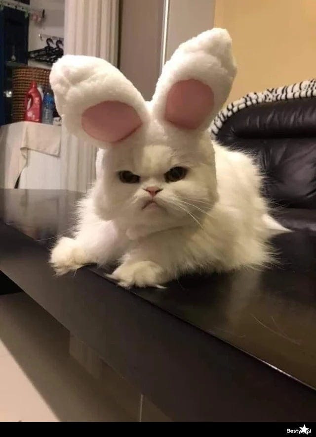 user avatar image for Kyle Greenman