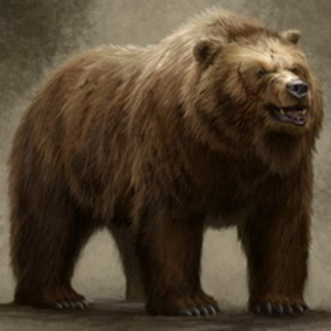 user avatar image for Bursulf