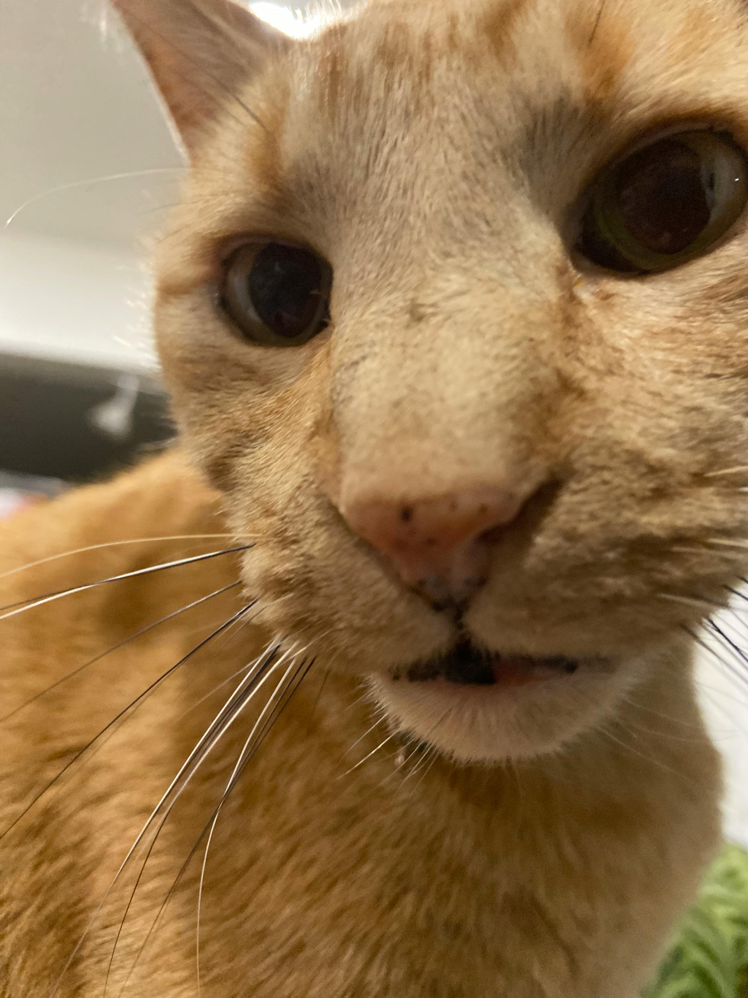 user avatar image for Jo Burt