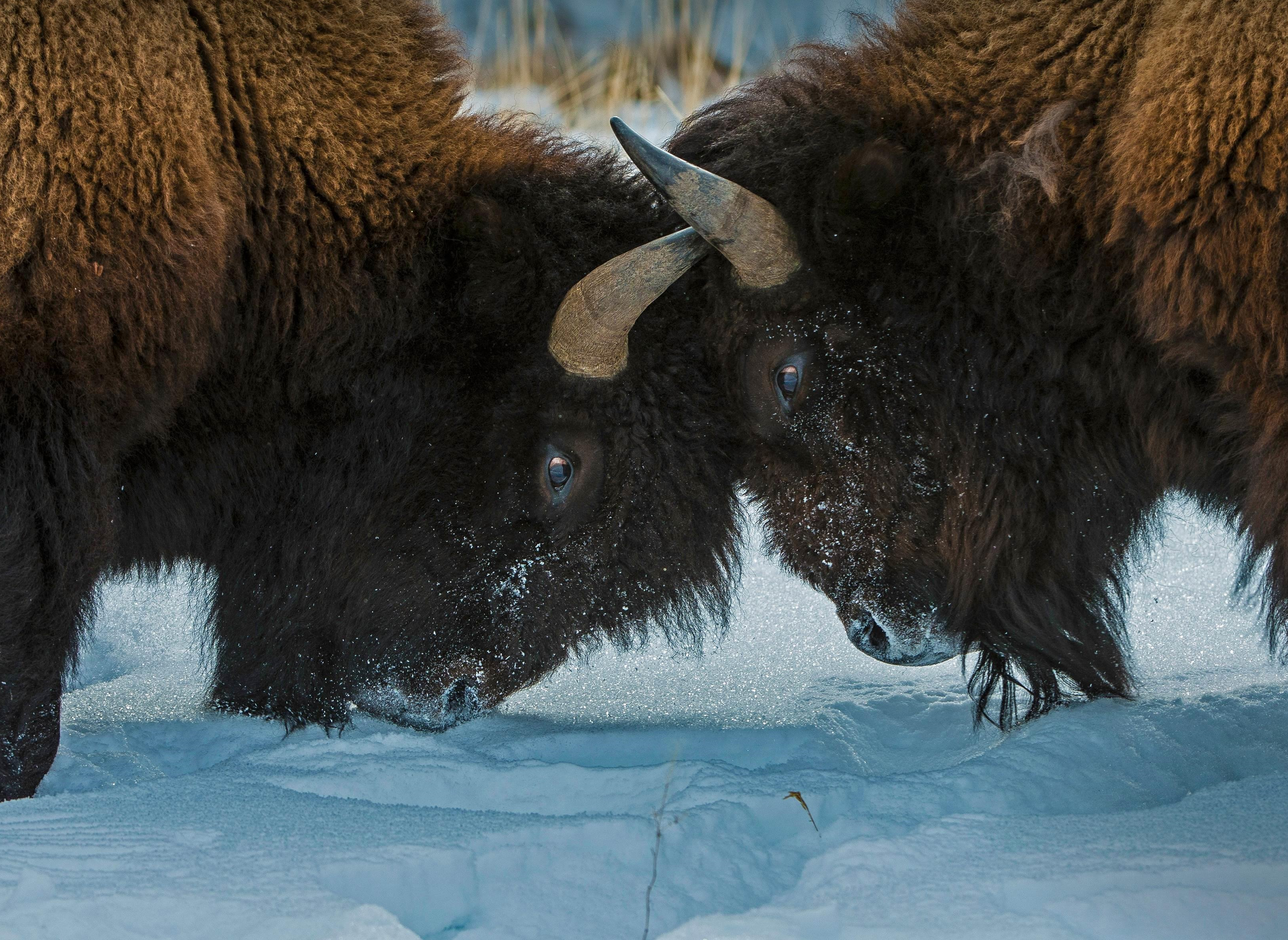 user avatar image for Eamonn Golden