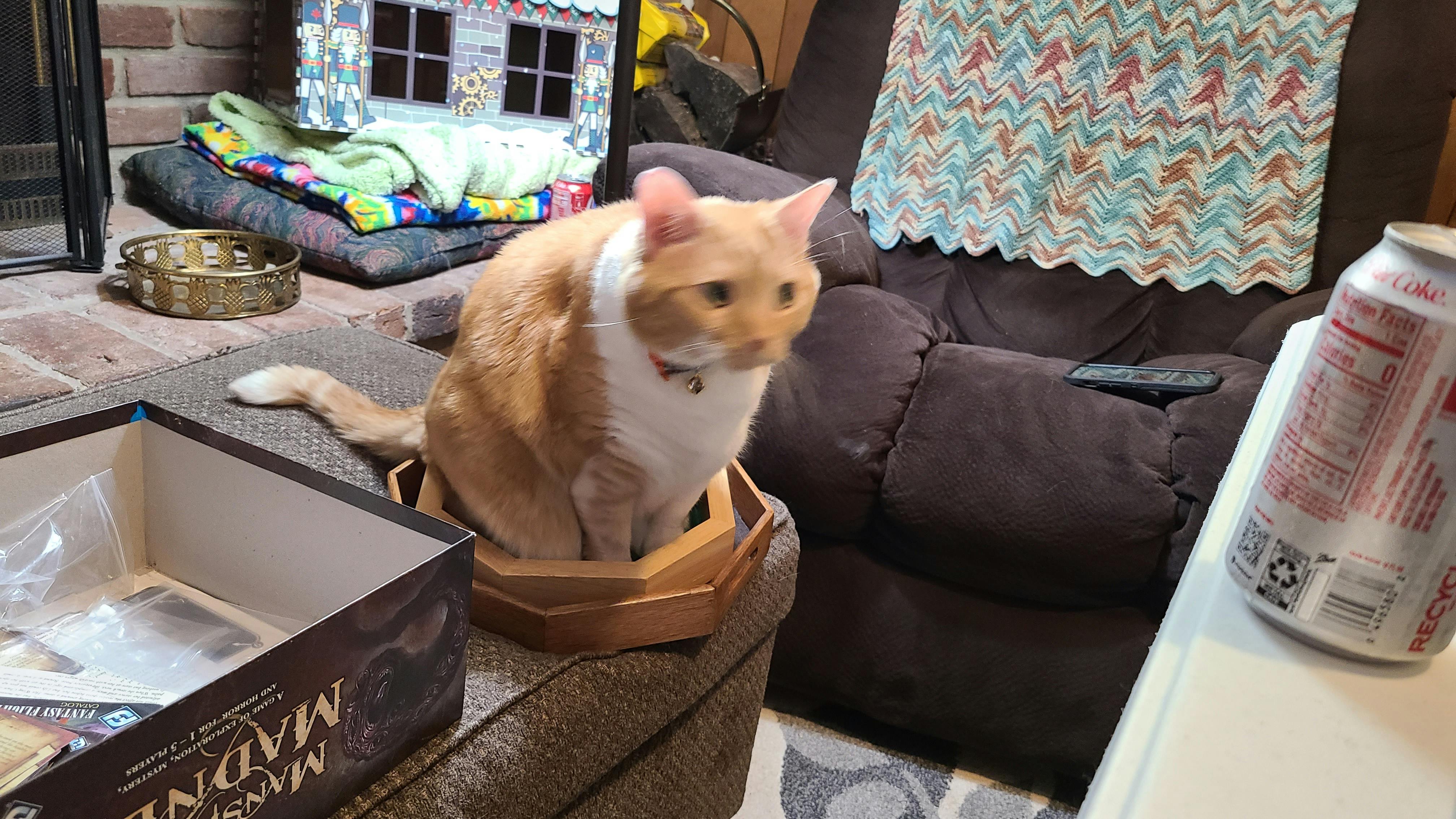 user avatar image for Logan Daugherty