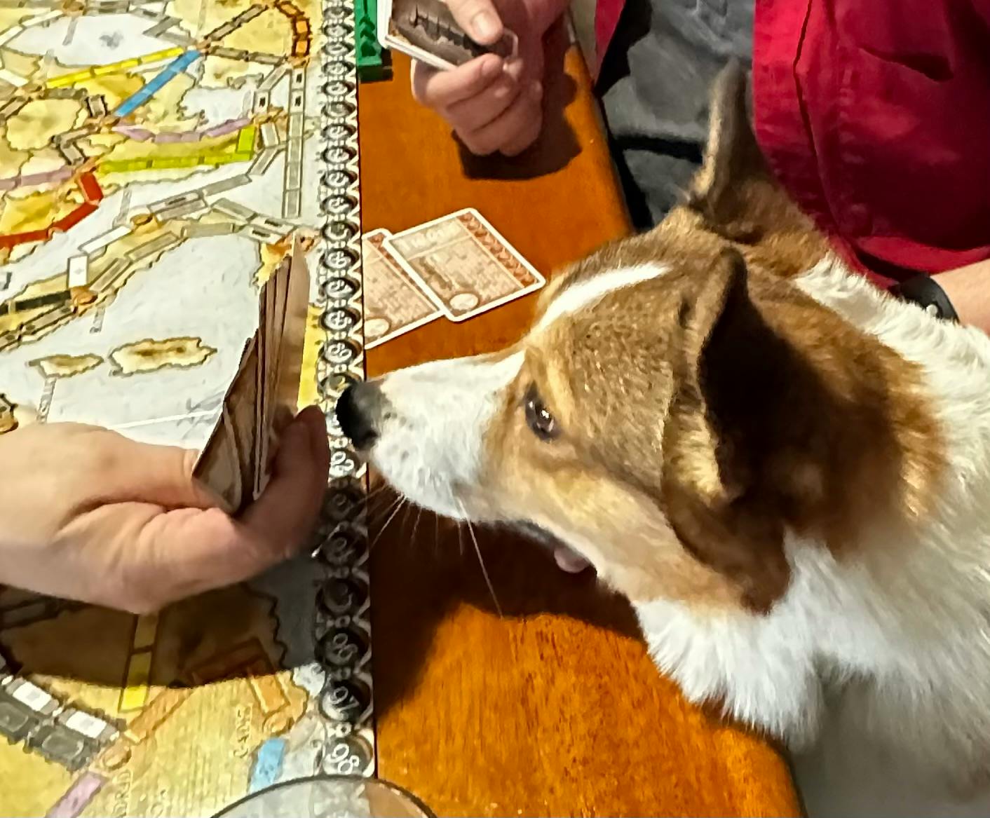 user avatar image for rwmoore