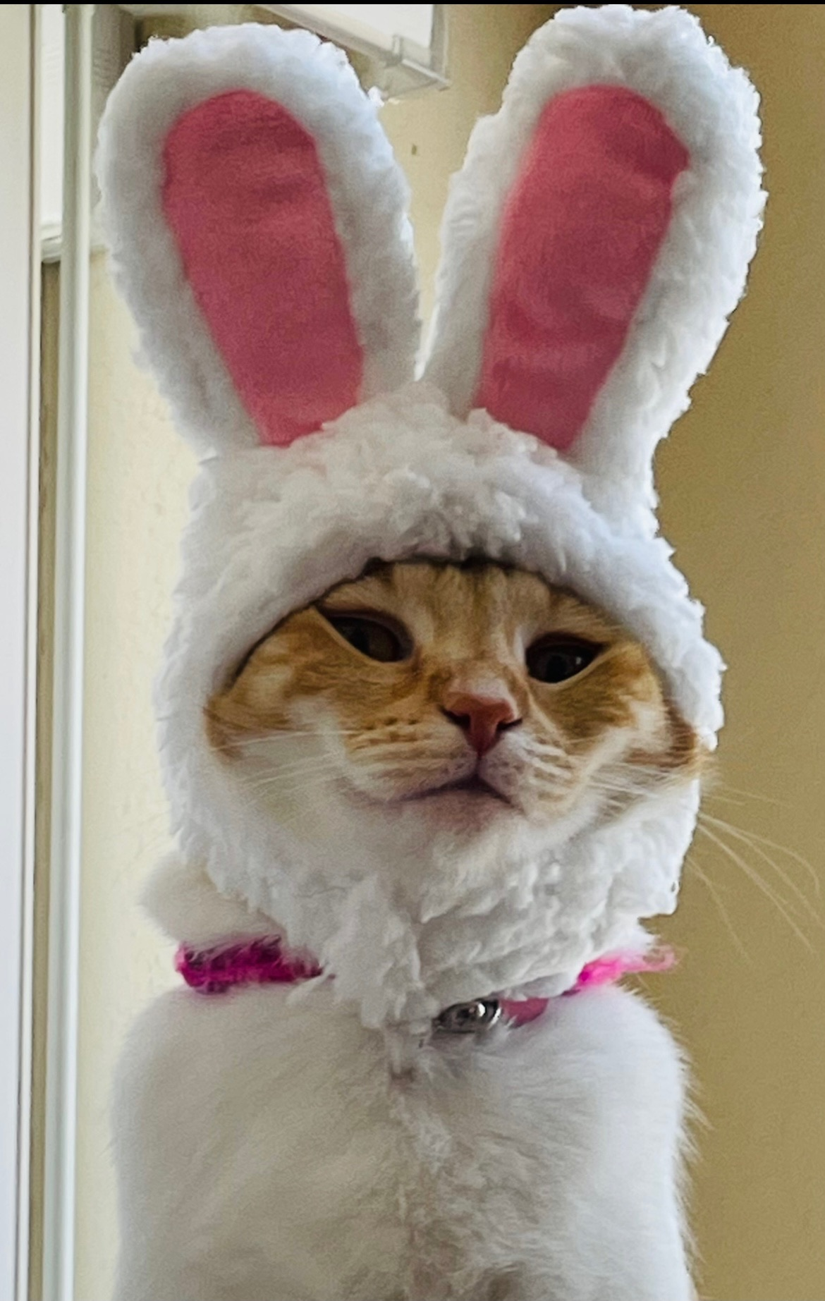 user avatar image for Smitty