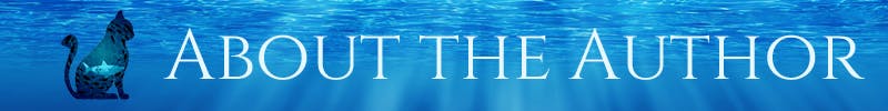 About the Author