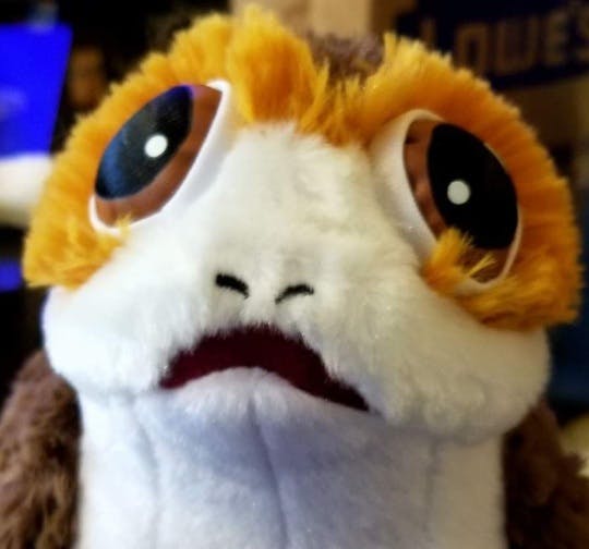 user avatar image for Tegan Hendrickson