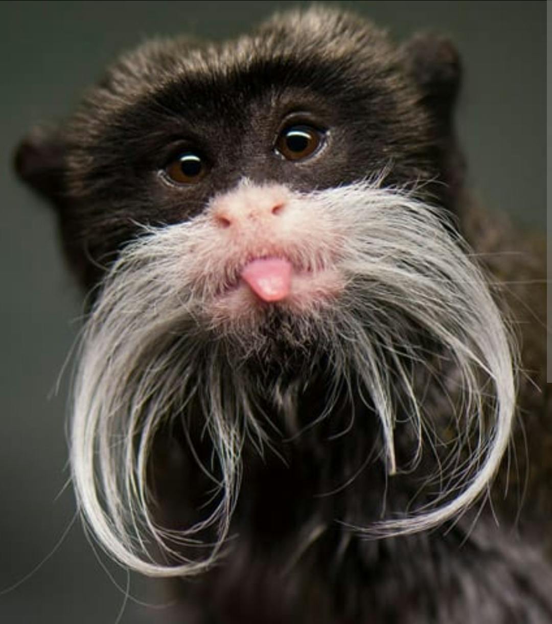 user avatar image for NightRaven