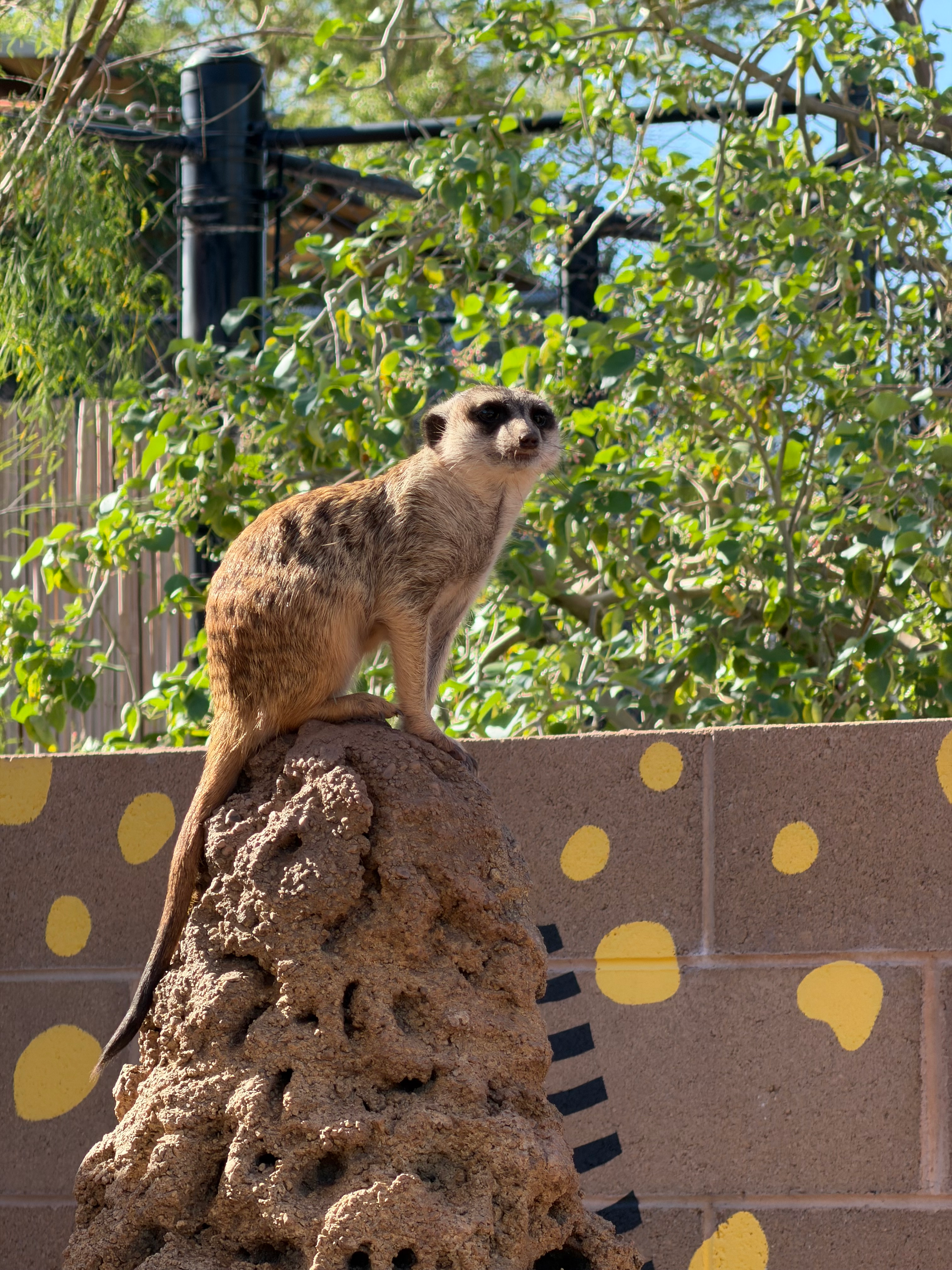 user avatar image for J.J. Mixdorf