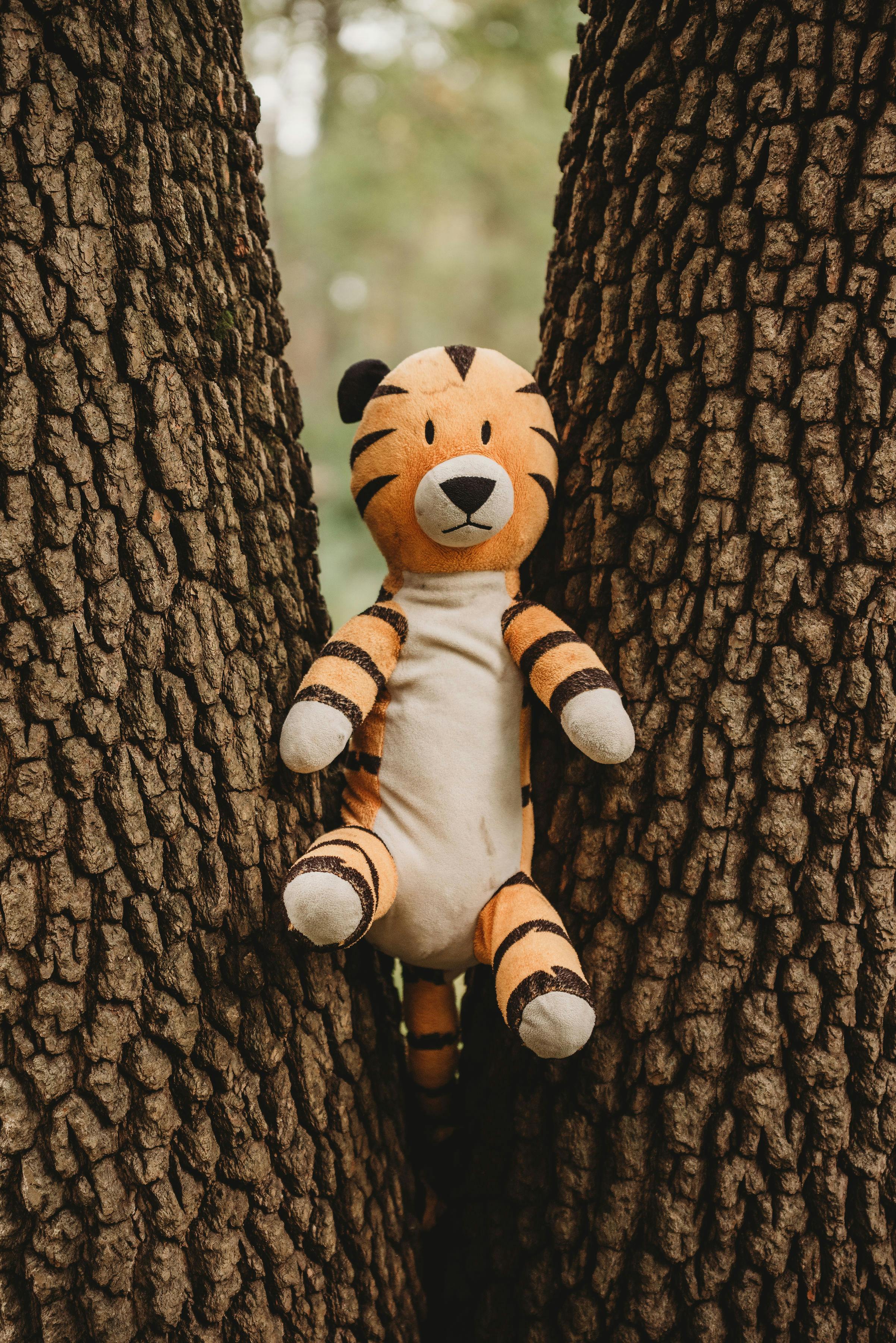 user avatar image for Hobbes