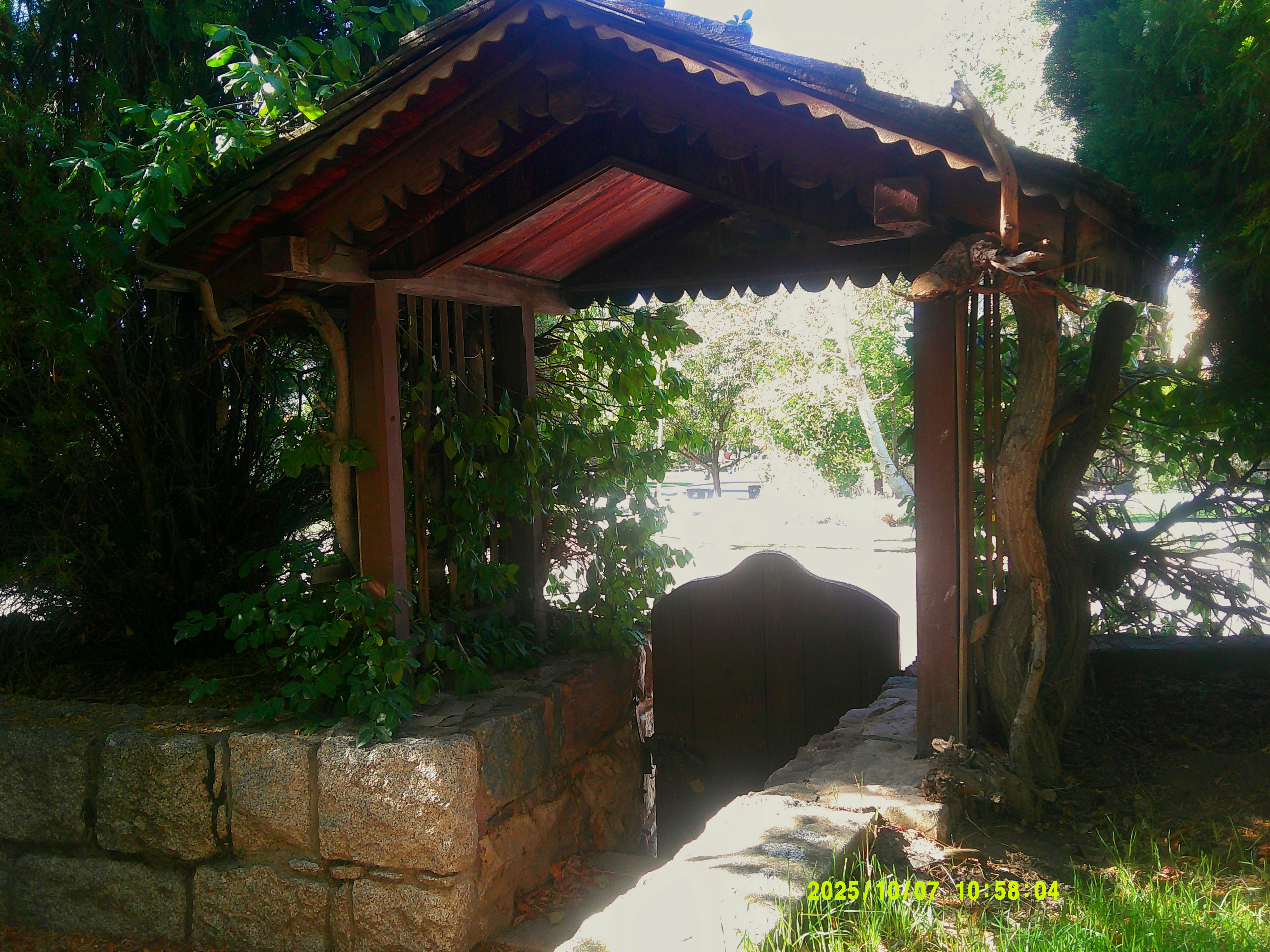 user avatar image for Addison Guido