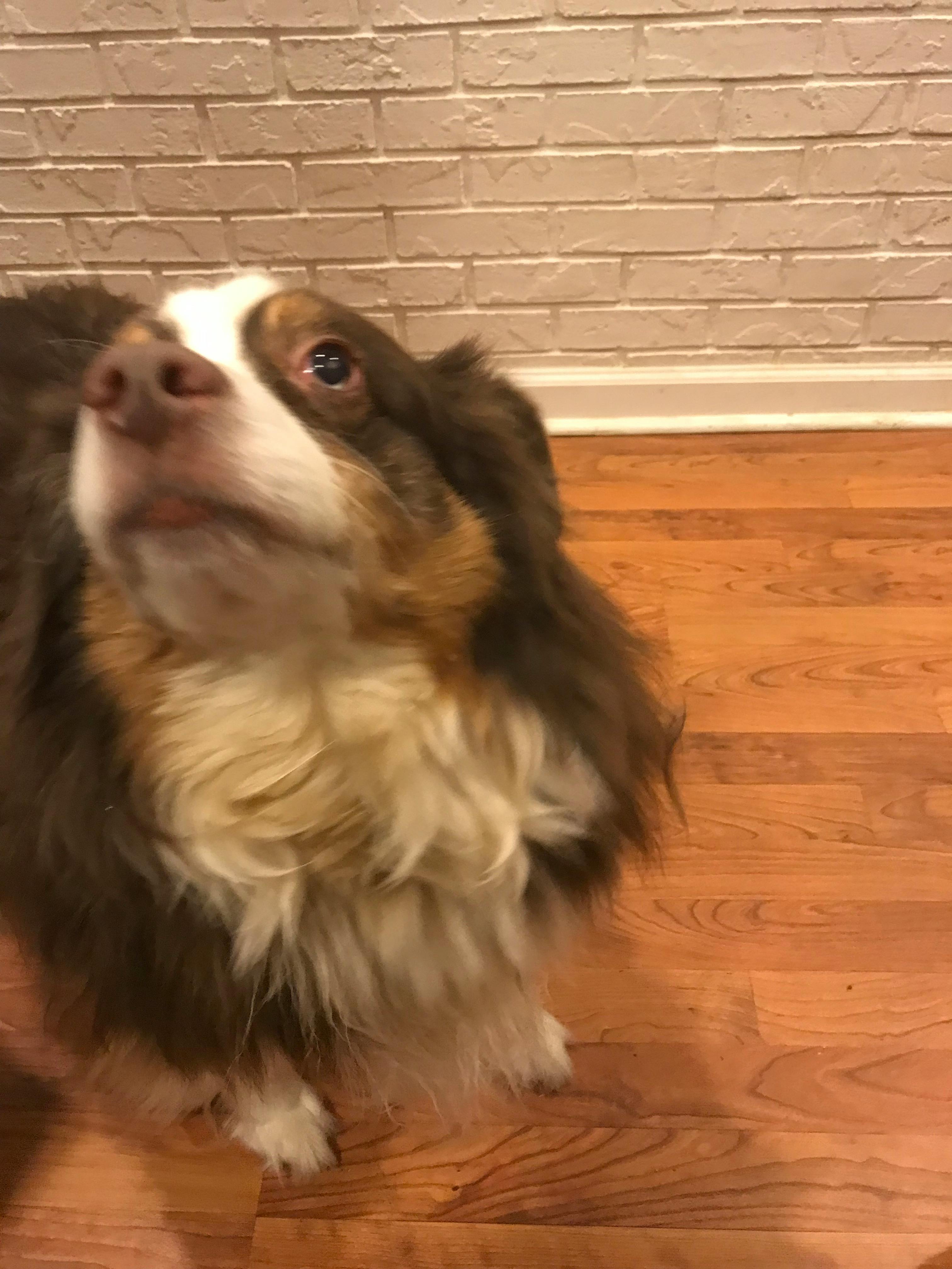 user avatar image for Jeff Freeman