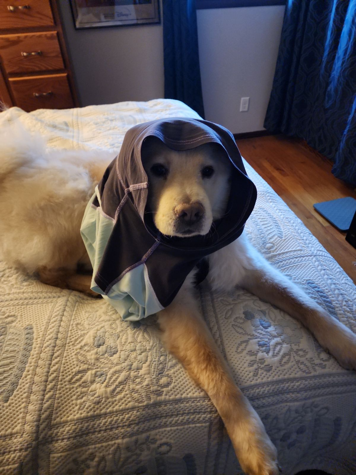 user avatar image for Jewel