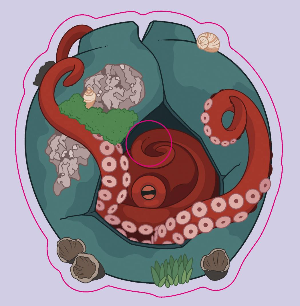 Clear Acrylic Magnet Pacific Octopus