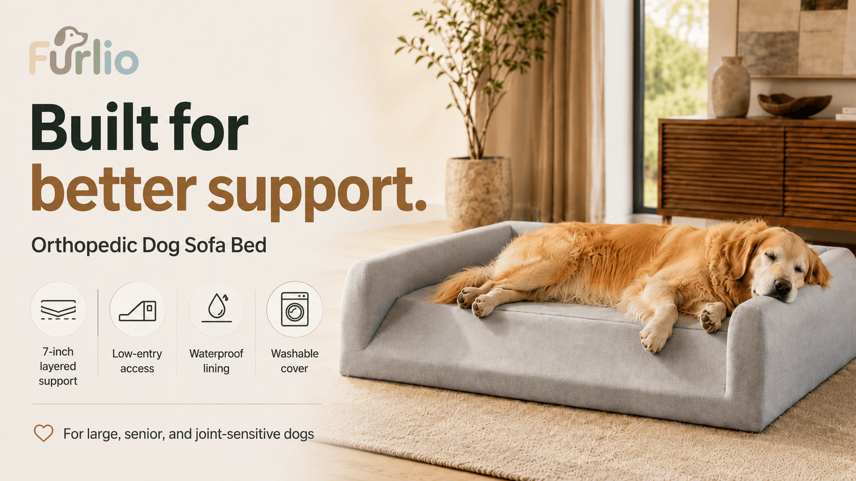 Furlio: A Low-Entry Orthopedic Sofa Bed for Large Dogs