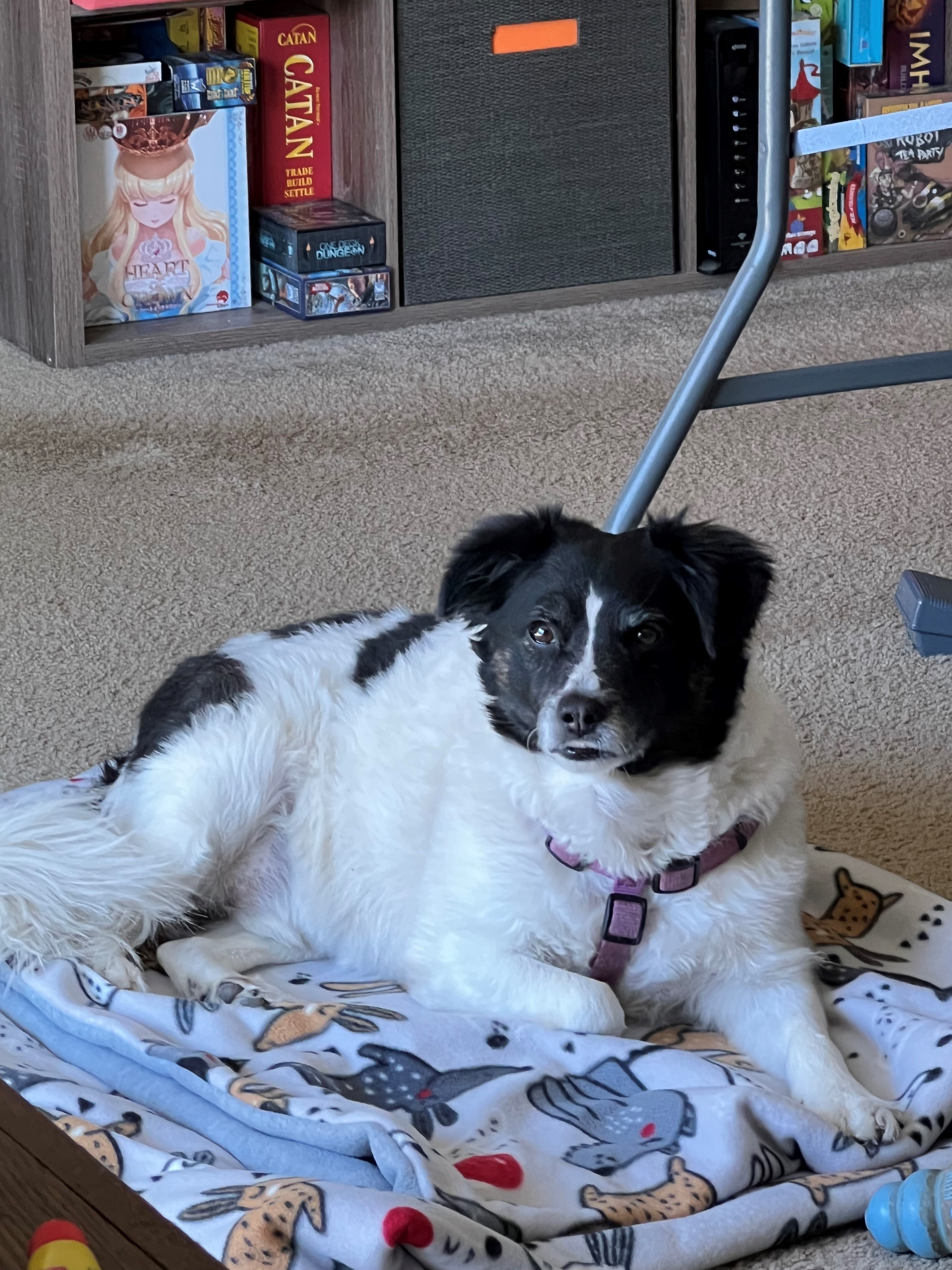 user avatar image for William Stark