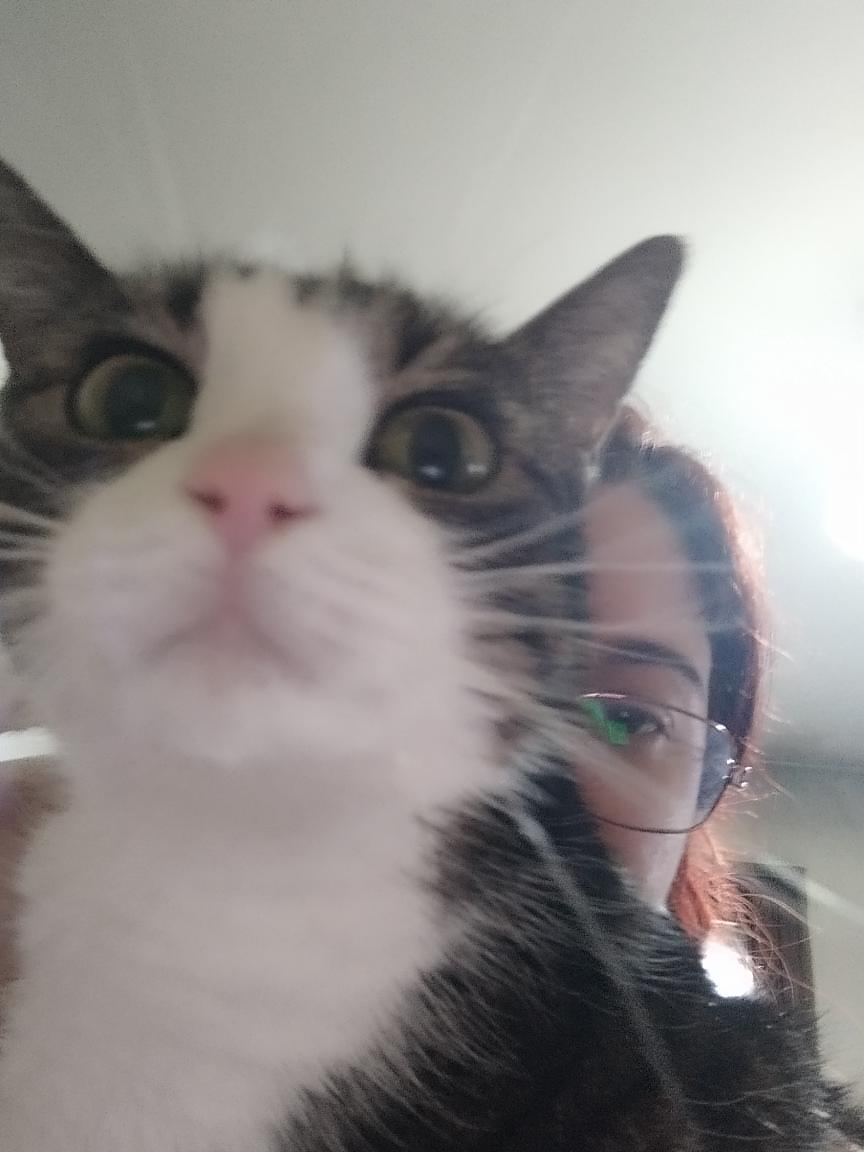 user avatar image for Augathra