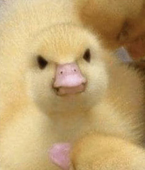 user avatar image for Craig