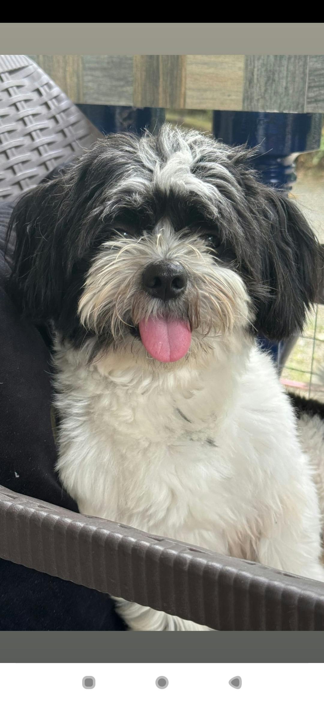 user avatar image for Mary Joy A