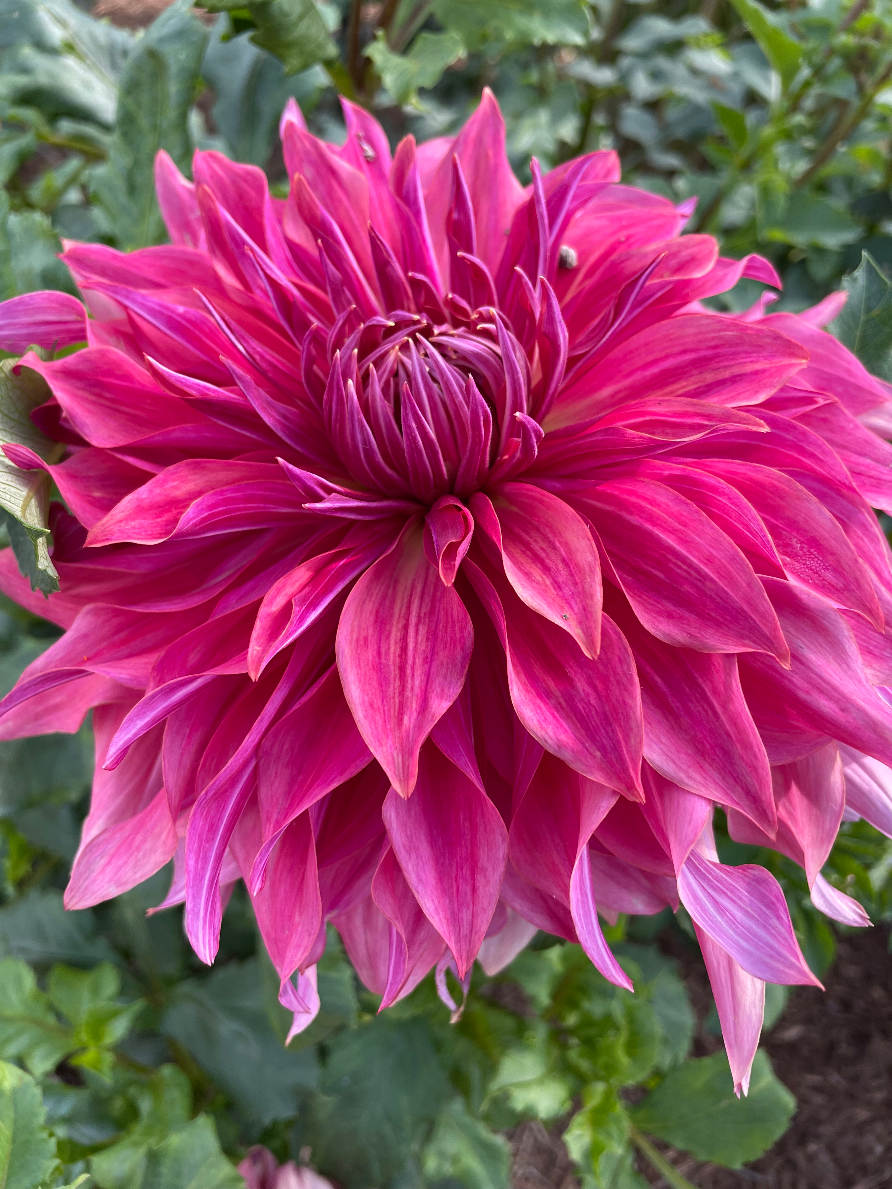 user avatar image for Miranda Riddle