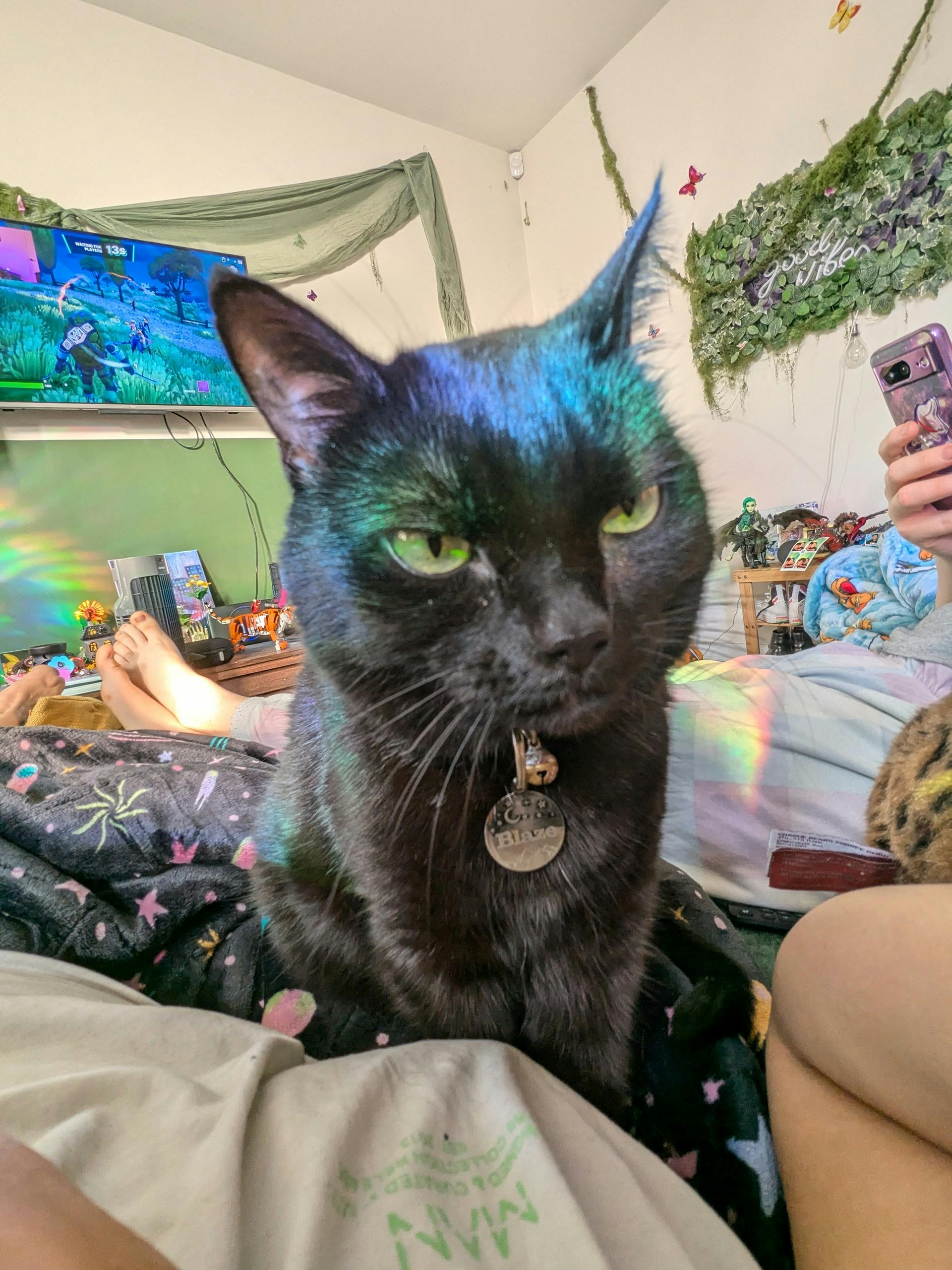 user avatar image for Petra