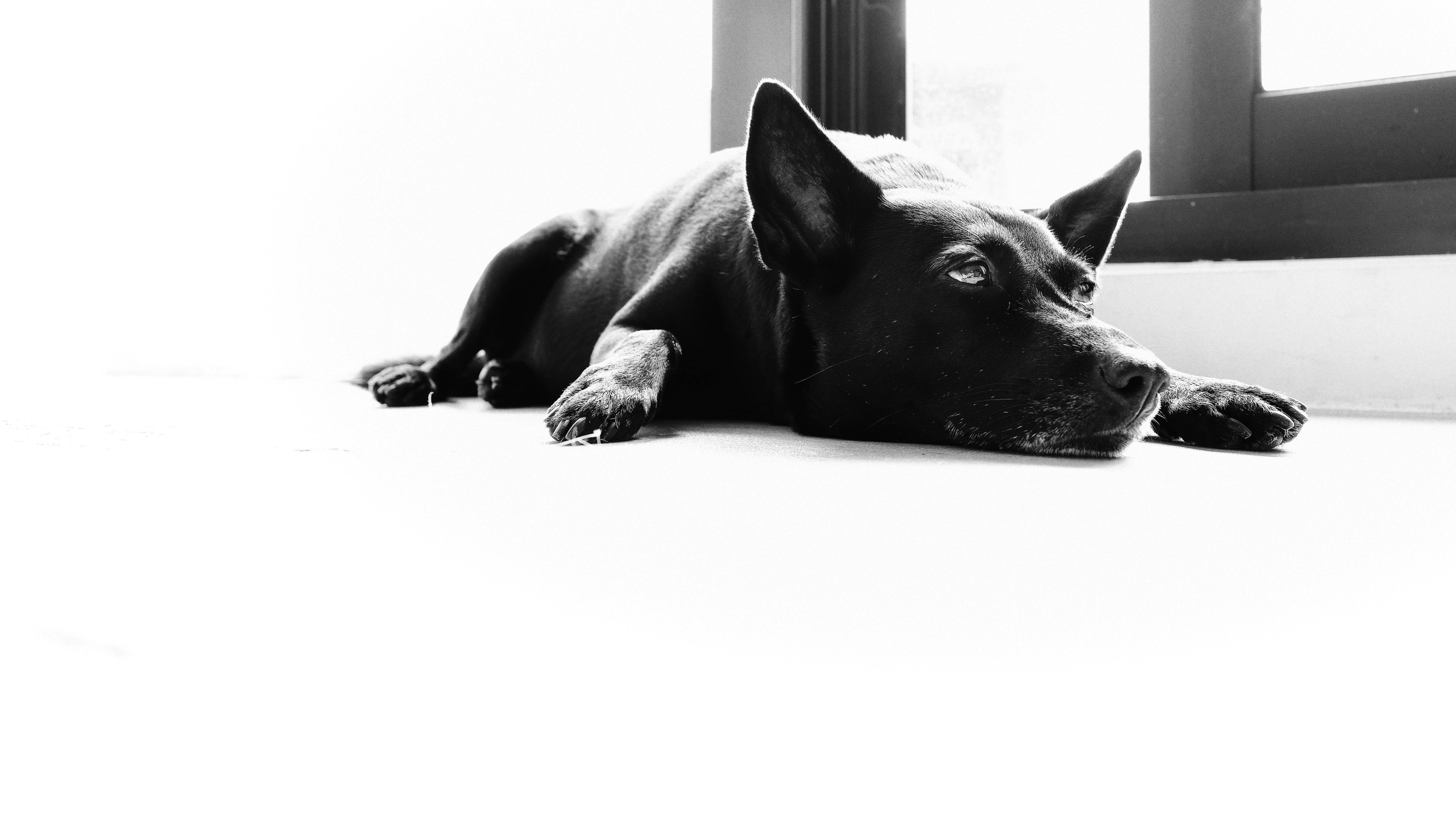 user avatar image for Tim in Taiwan