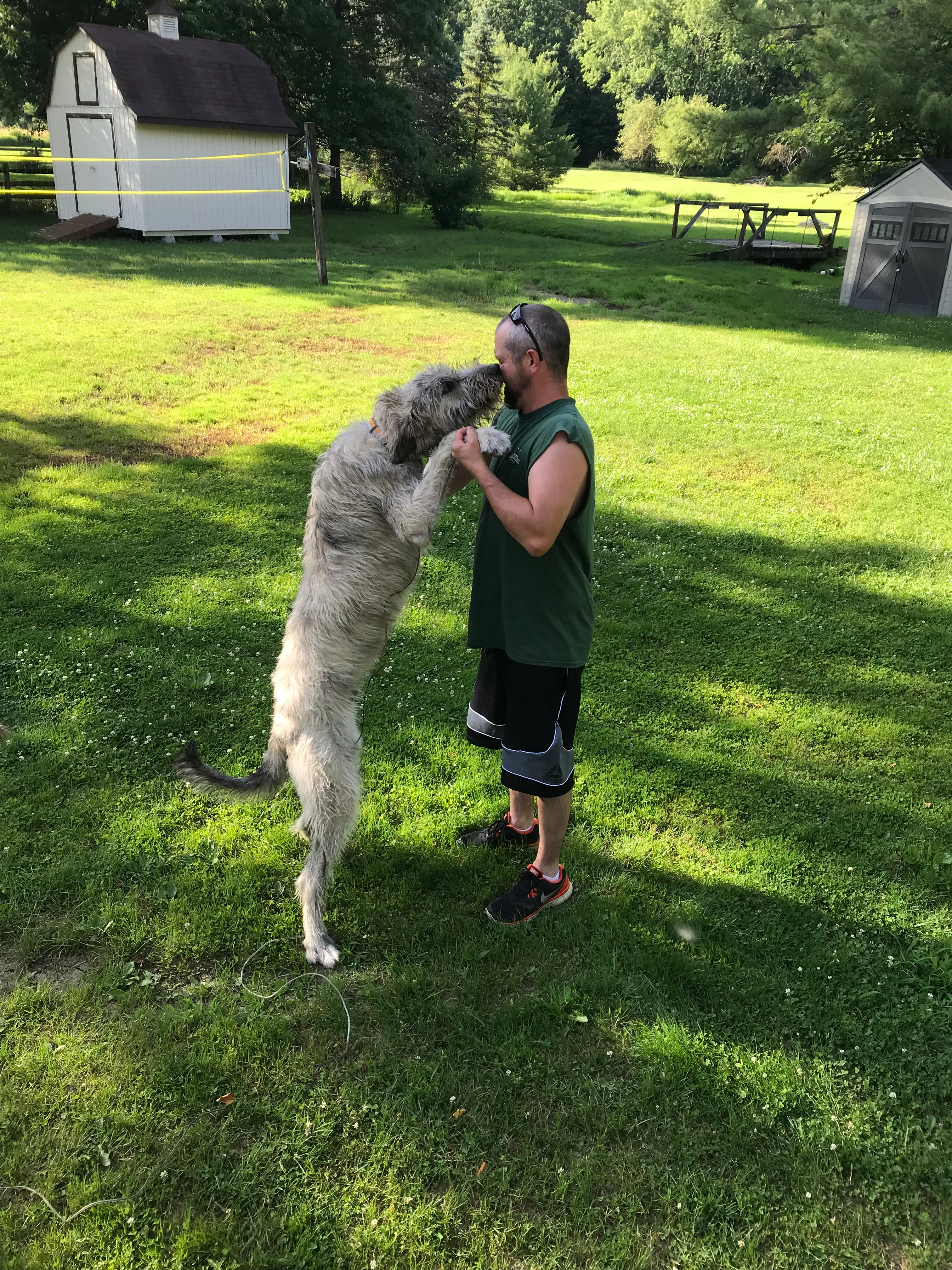 user avatar image for Jim wyatt