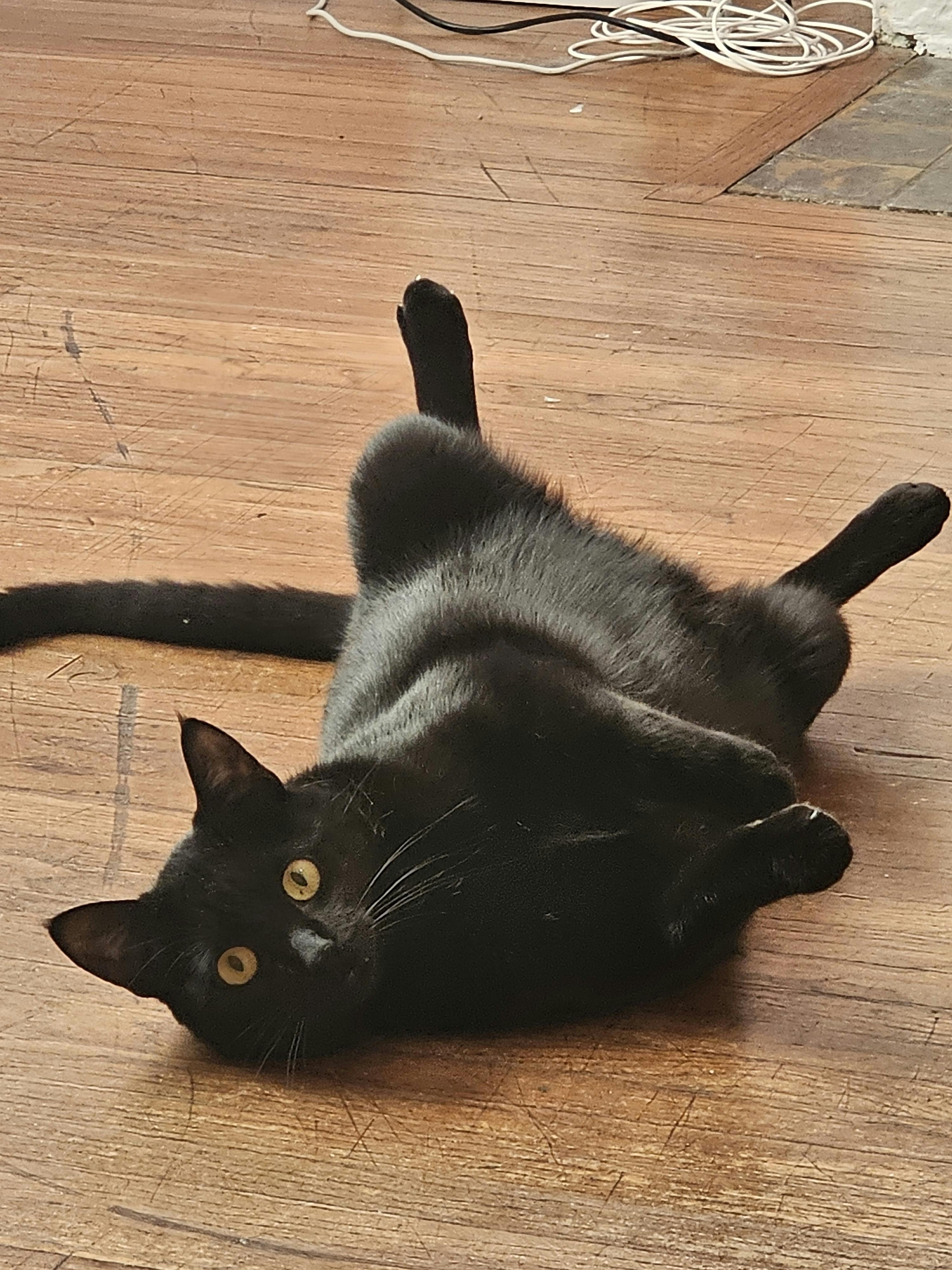 user avatar image for Christina Robertson