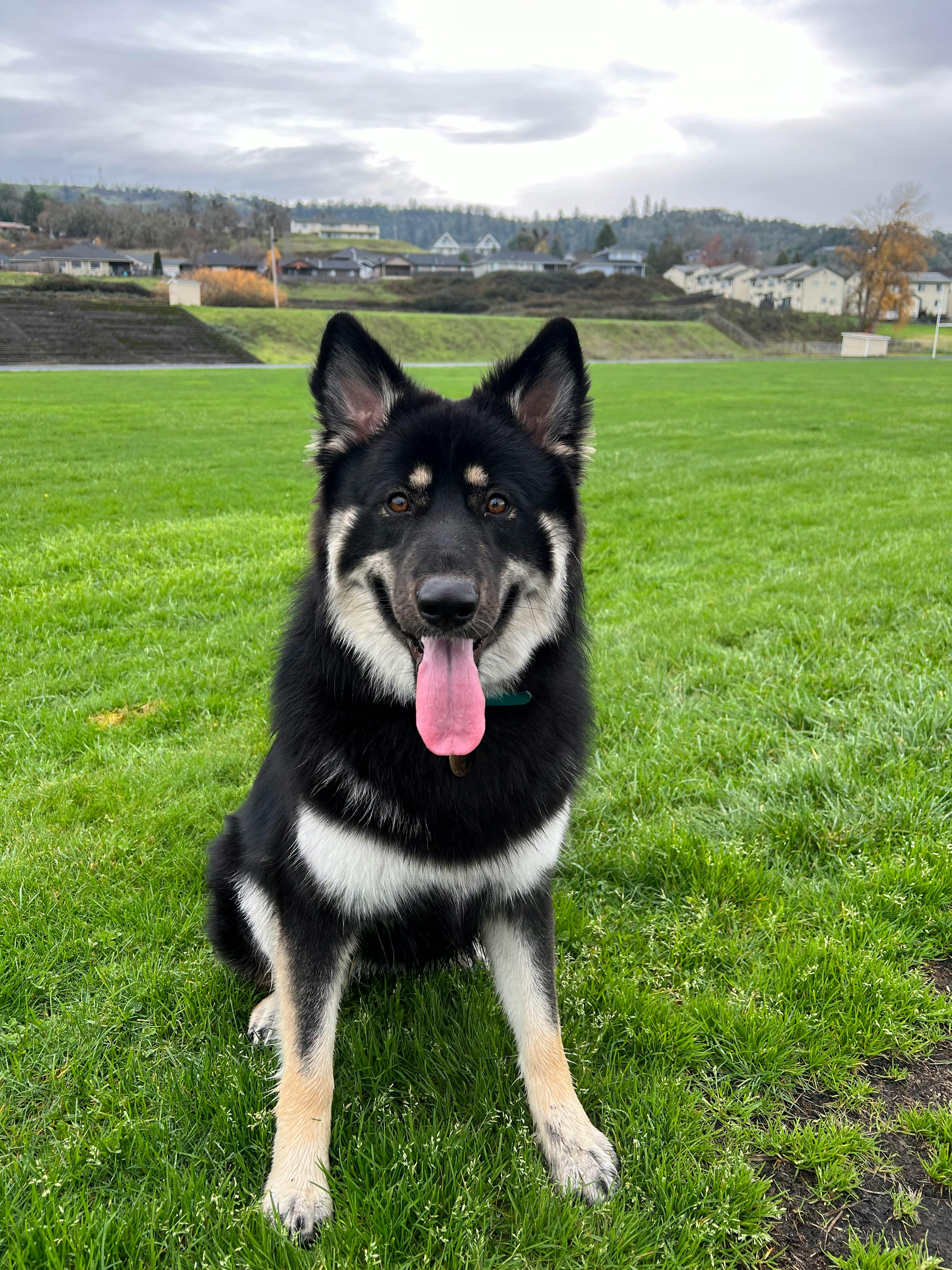 user avatar image for Mrs.Reeses_Puffs