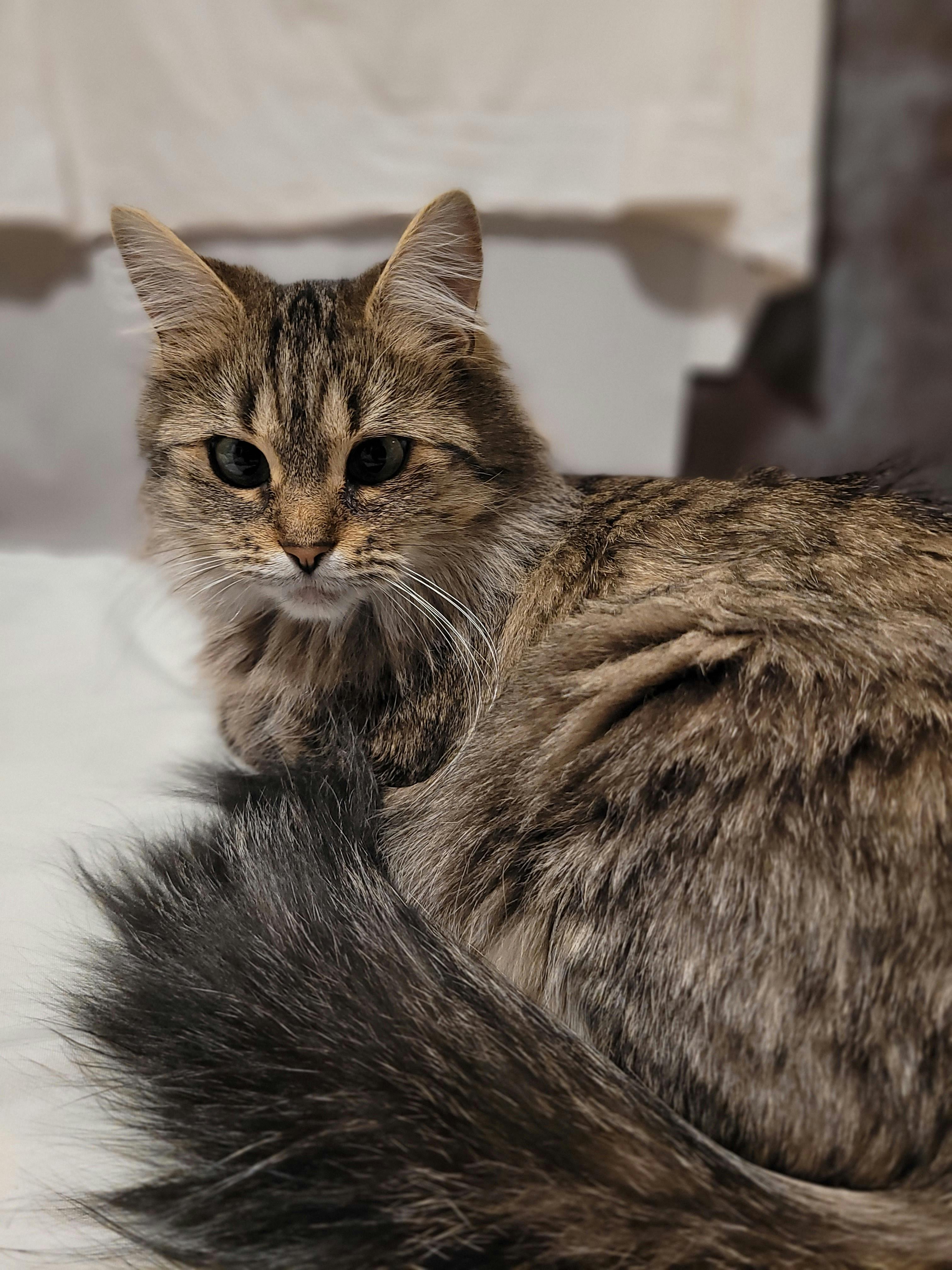 user avatar image for Natasha Thibouthot 