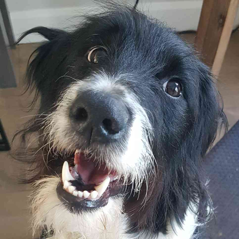 user avatar image for Masishu