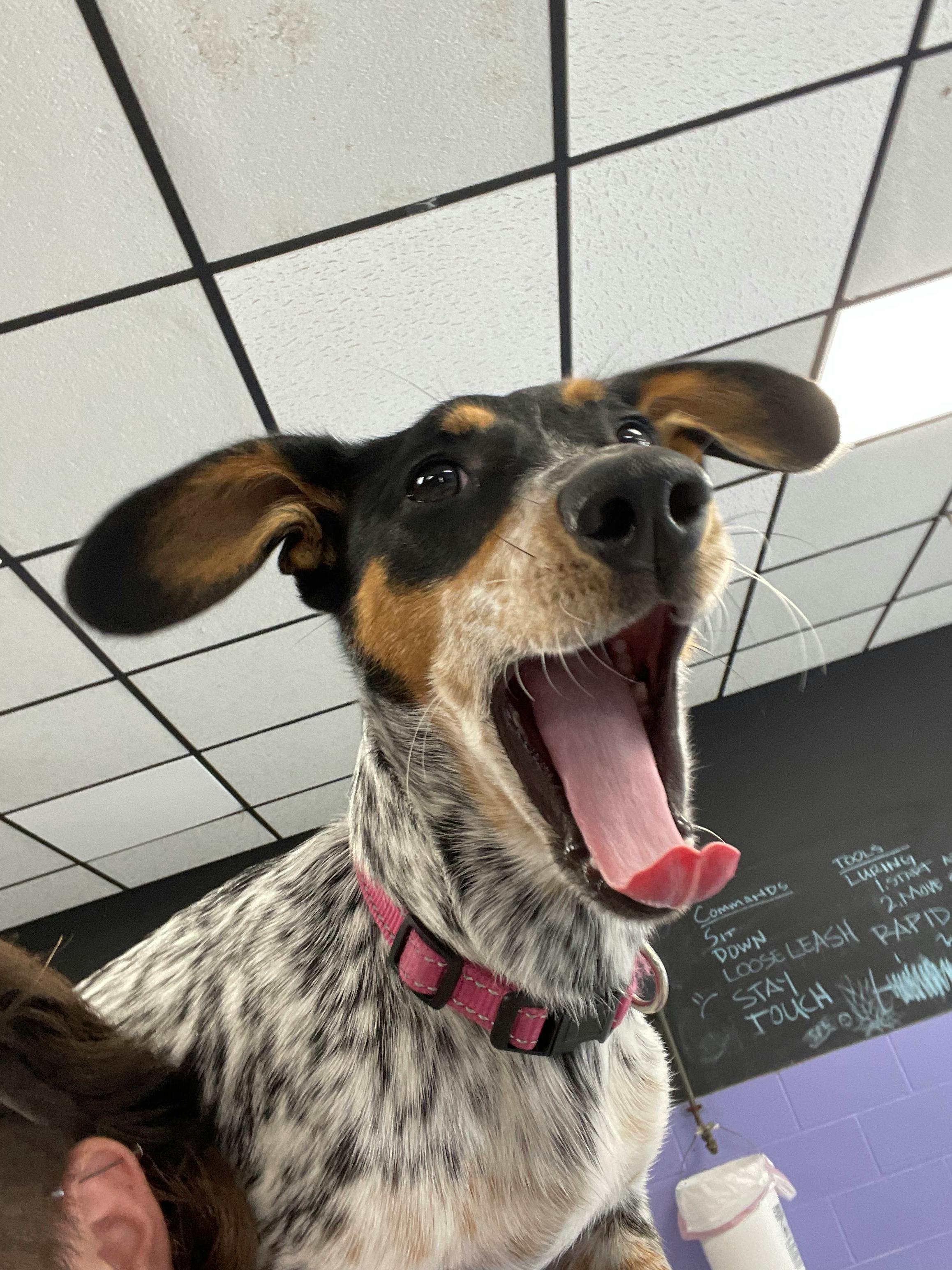 user avatar image for Dean