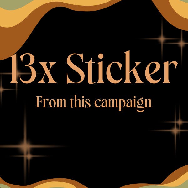 13x Holo Vinyl Sticker