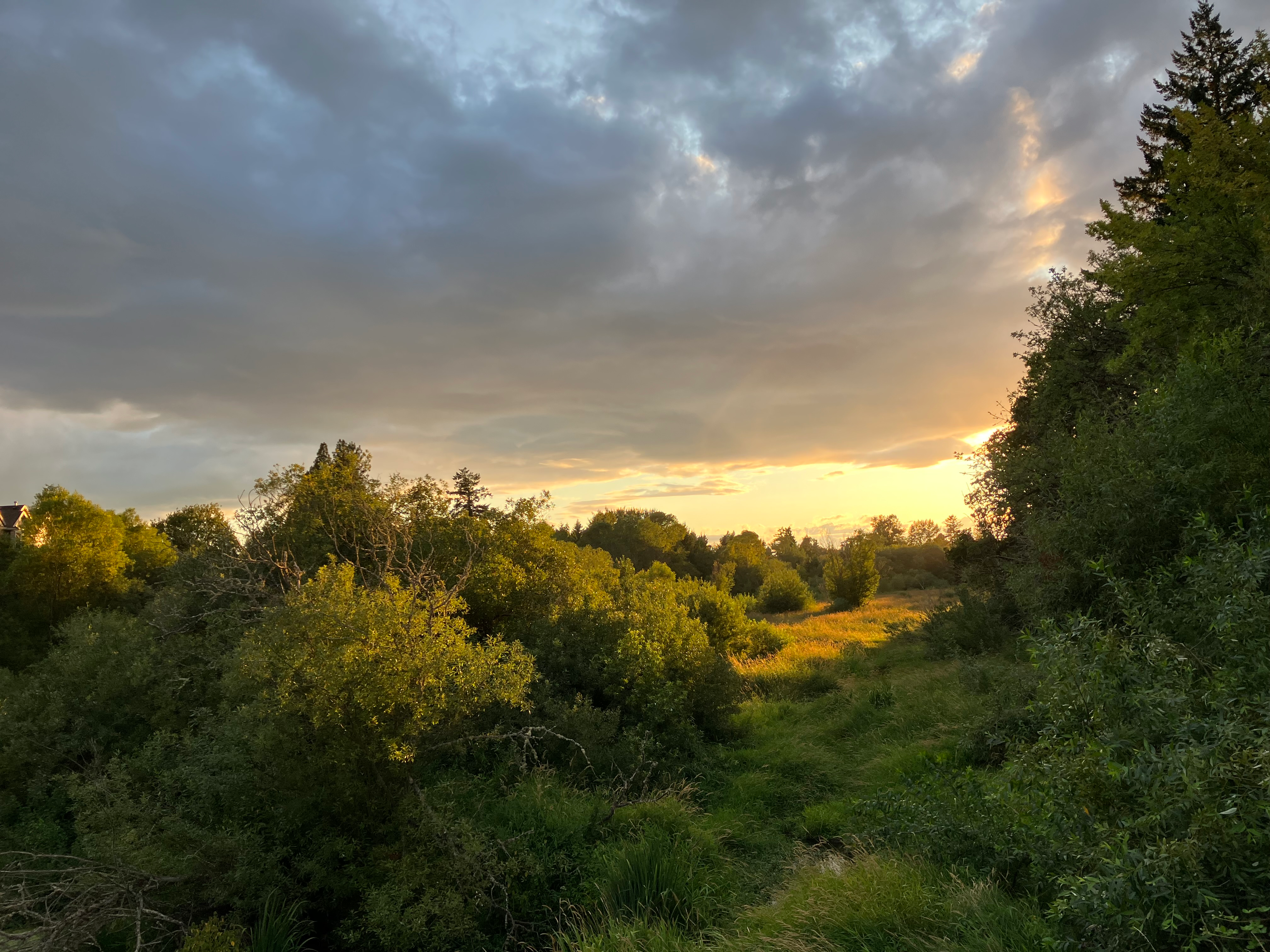 user avatar image for Mercury