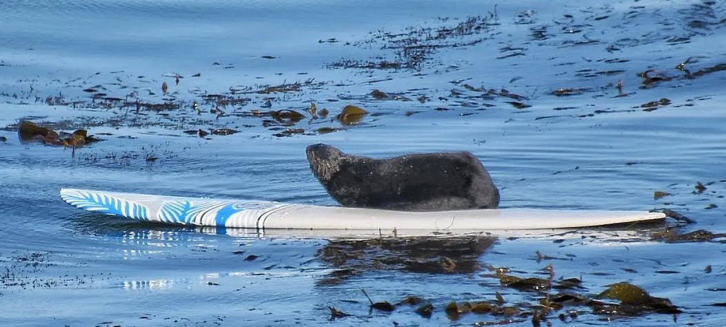 user avatar image for Mike W.