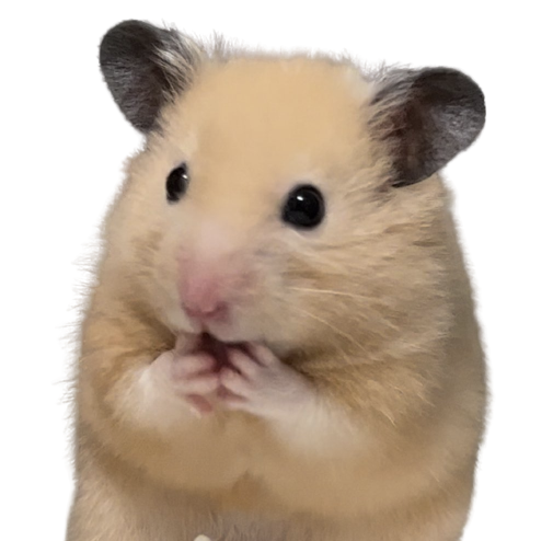 user avatar image for poppingmuzaq 