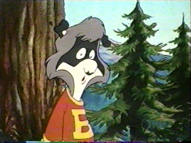 user avatar image for Robbie