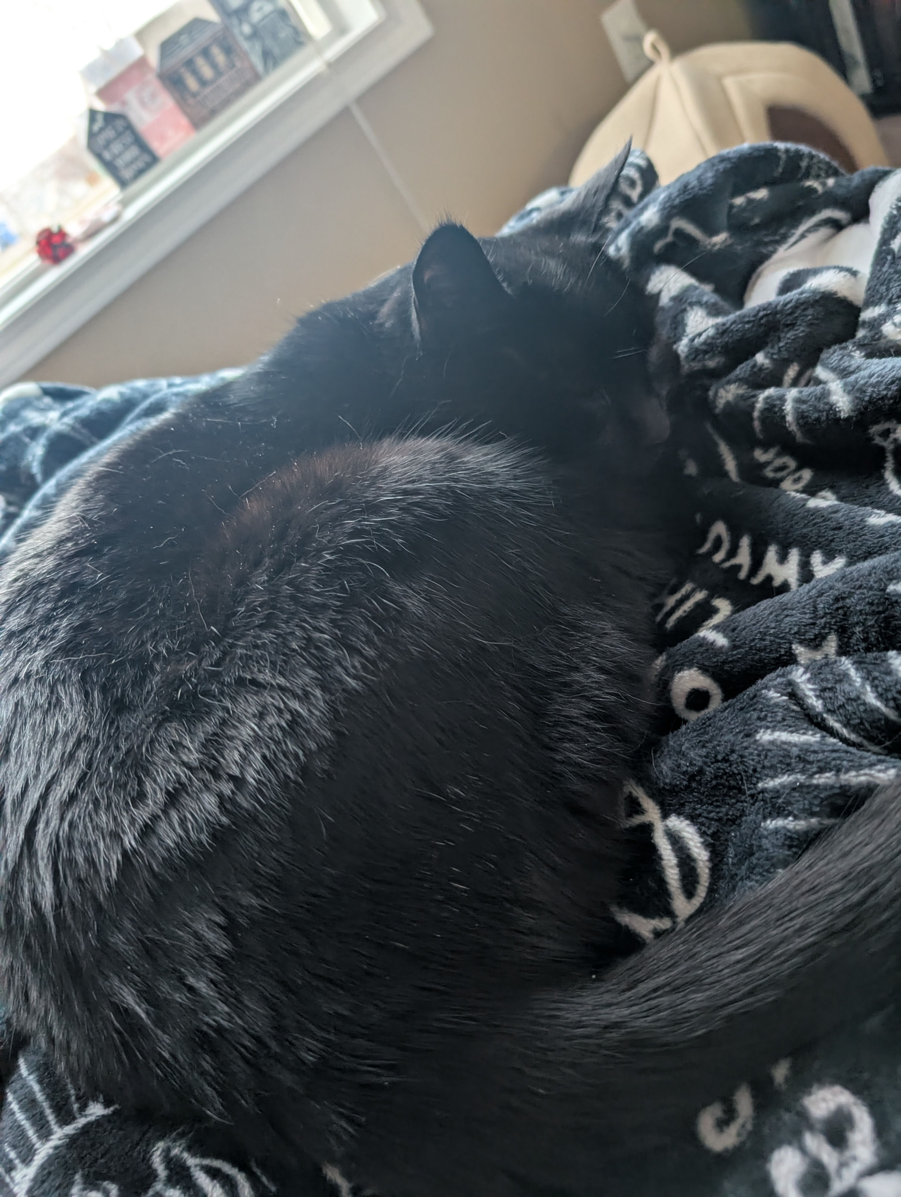 user avatar image for Shane